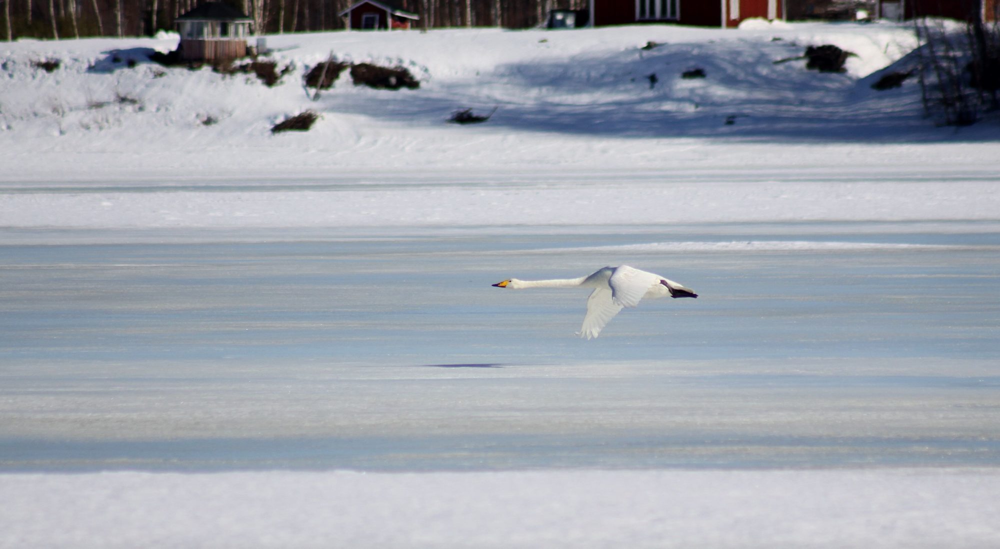 Valokuvaaja: Pirkko Siukonen