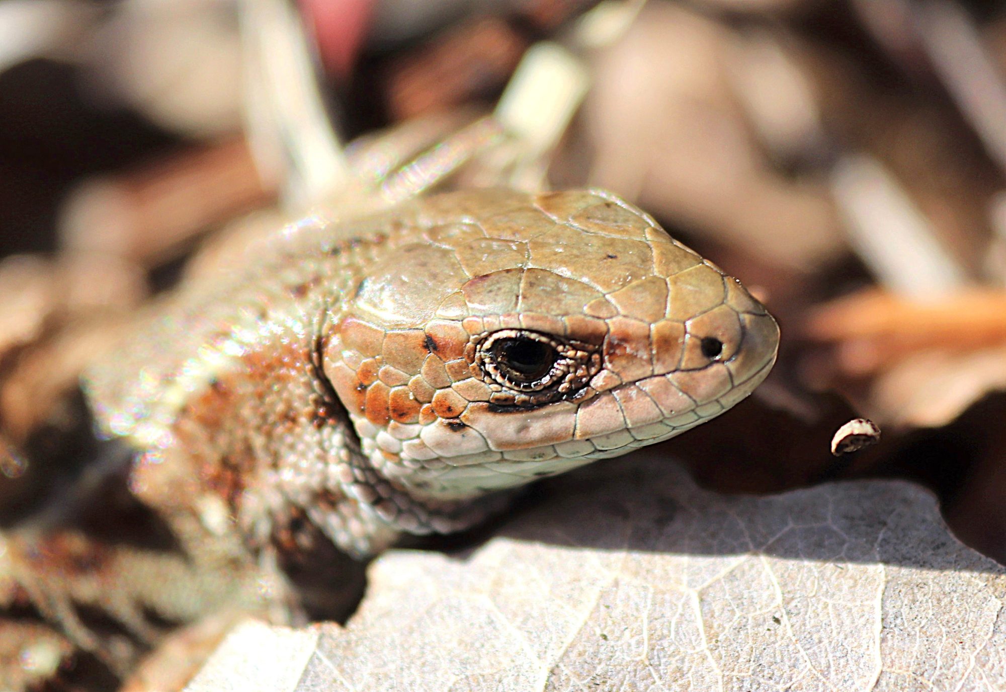 Valokuvaaja: Irja Lehtinen