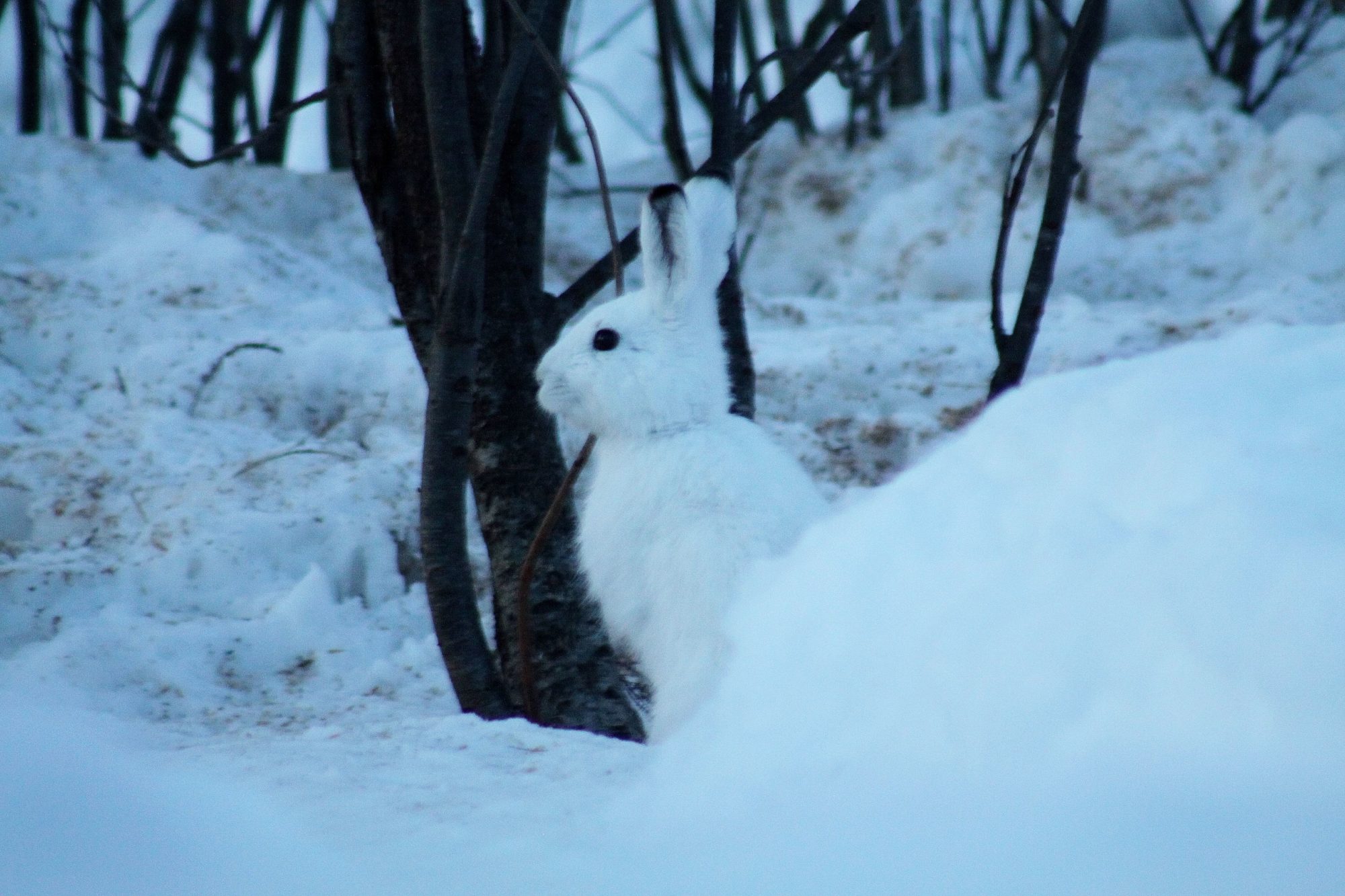 Valokuvaaja: Pirkko Siukonen