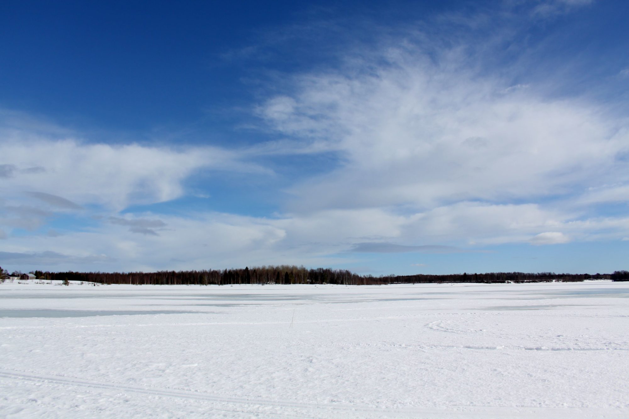Valokuvaaja: Pirkko Siukonen