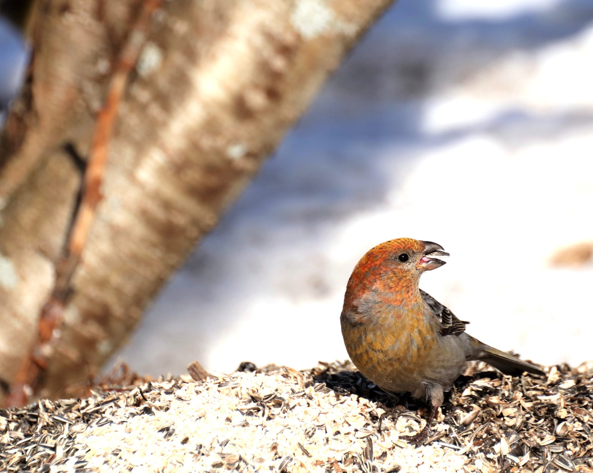 Valokuvaaja: Irja Lehtinen