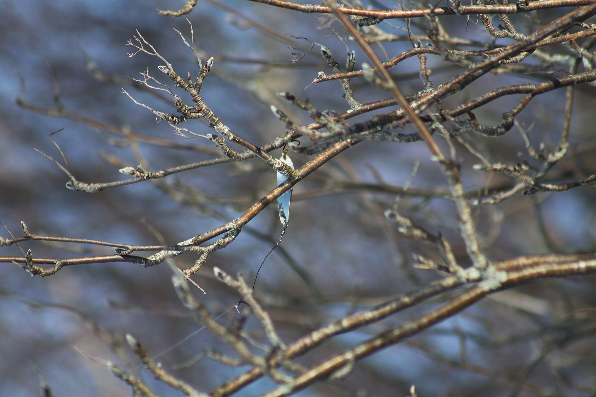 Valokuvaaja: Pirkko Siukonen