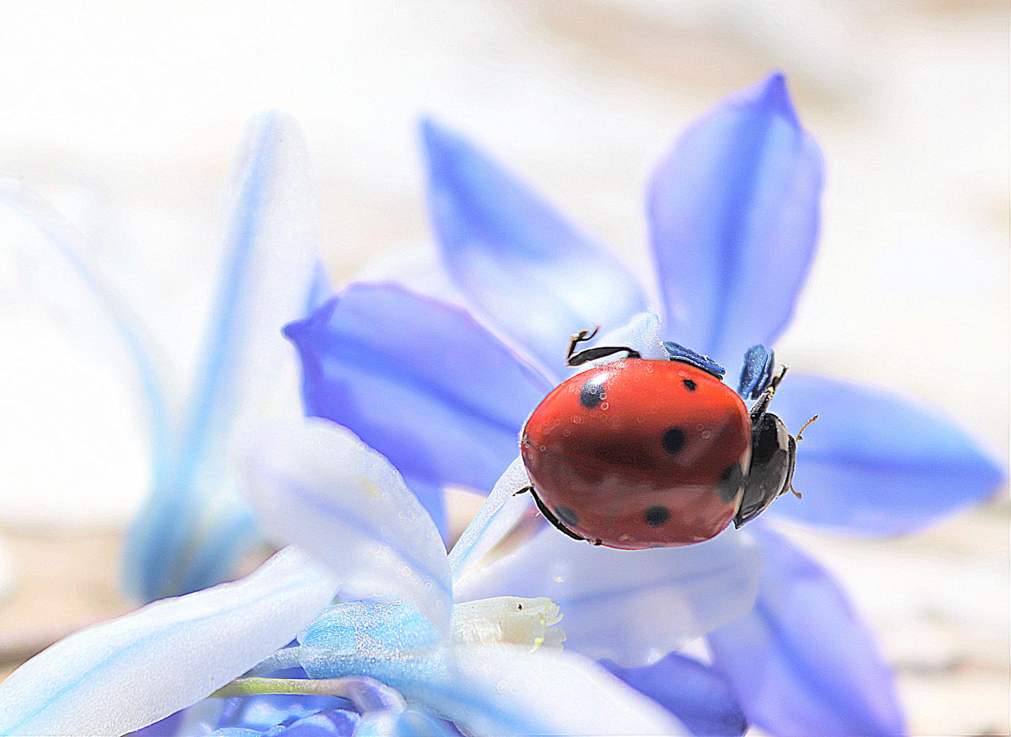 Valokuvaaja: Irja Lehtinen