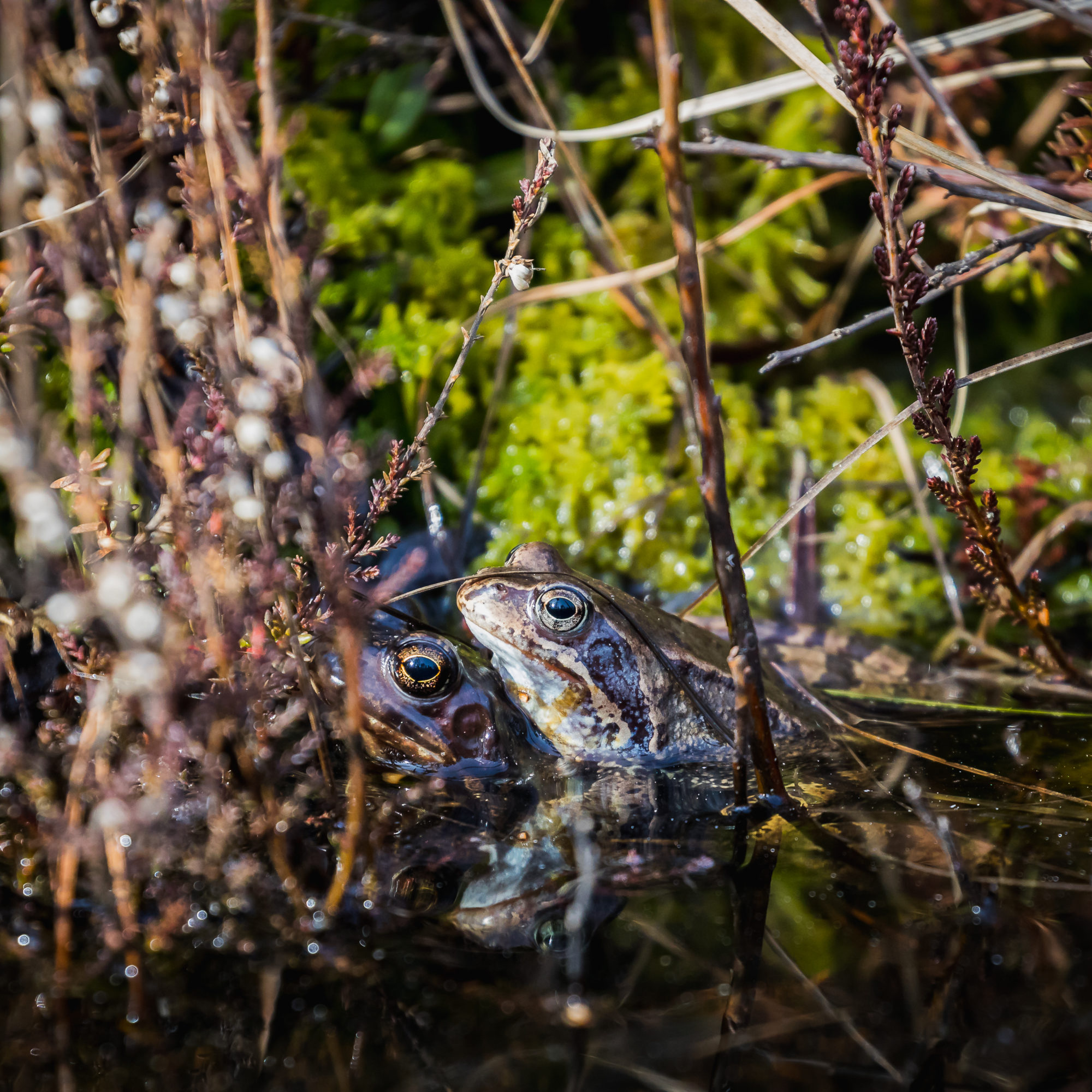 Valokuvaaja: Mikko Kallio