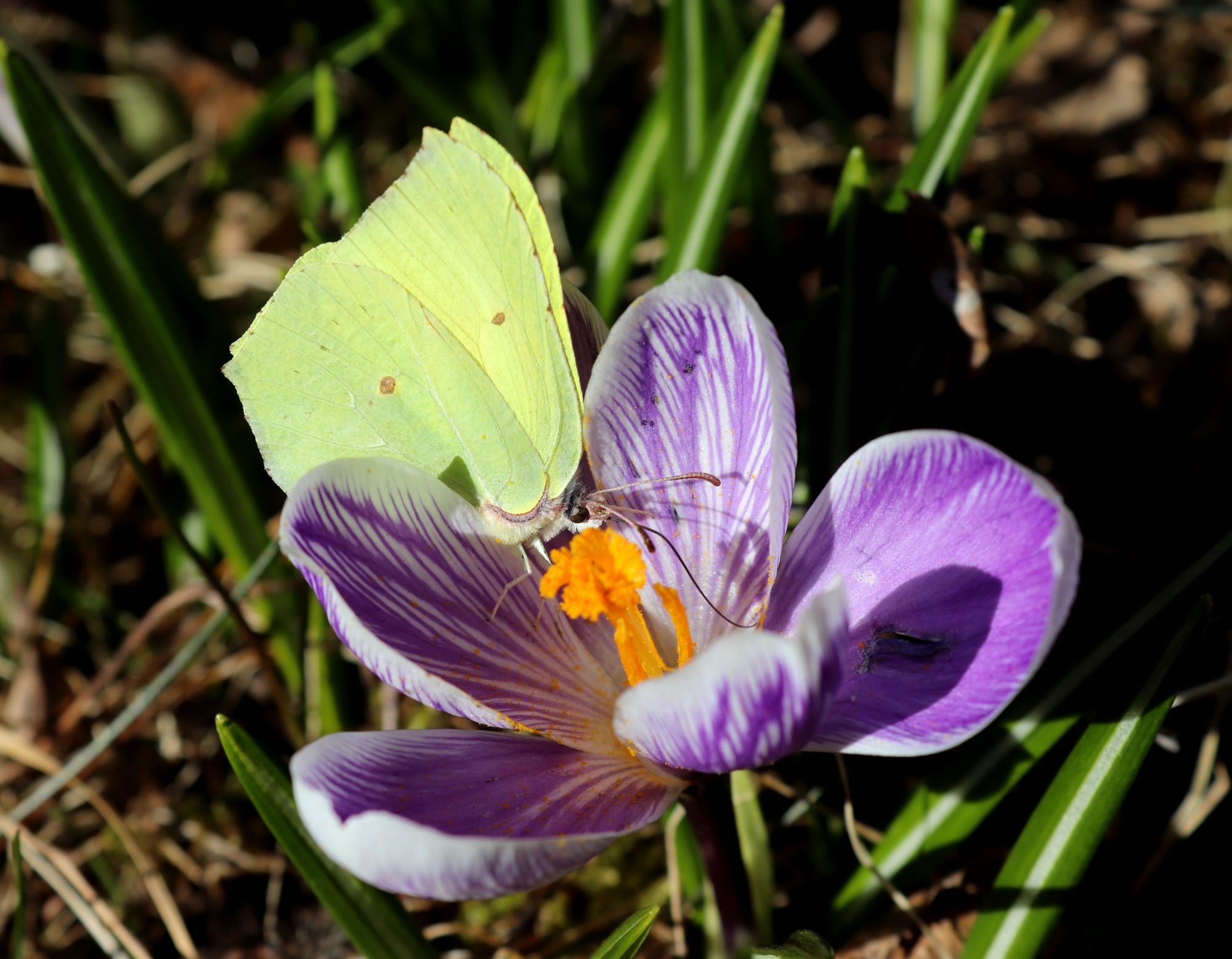 Valokuvaaja: Irja Lehtinen Valokuvaaja: Irja Lehtinen
