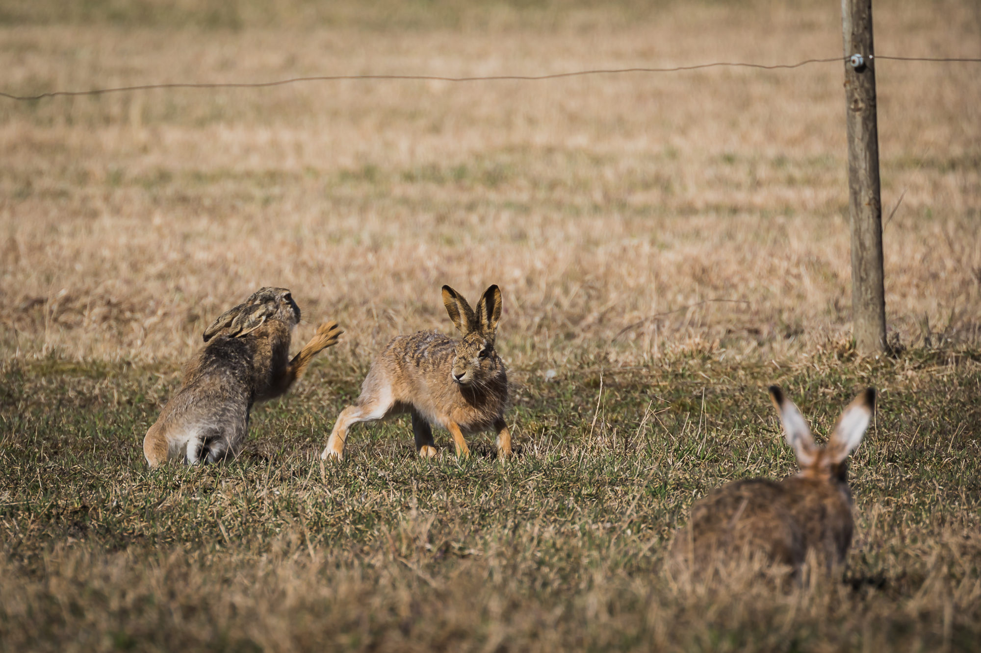 Valokuvaaja: Mikko Kallio