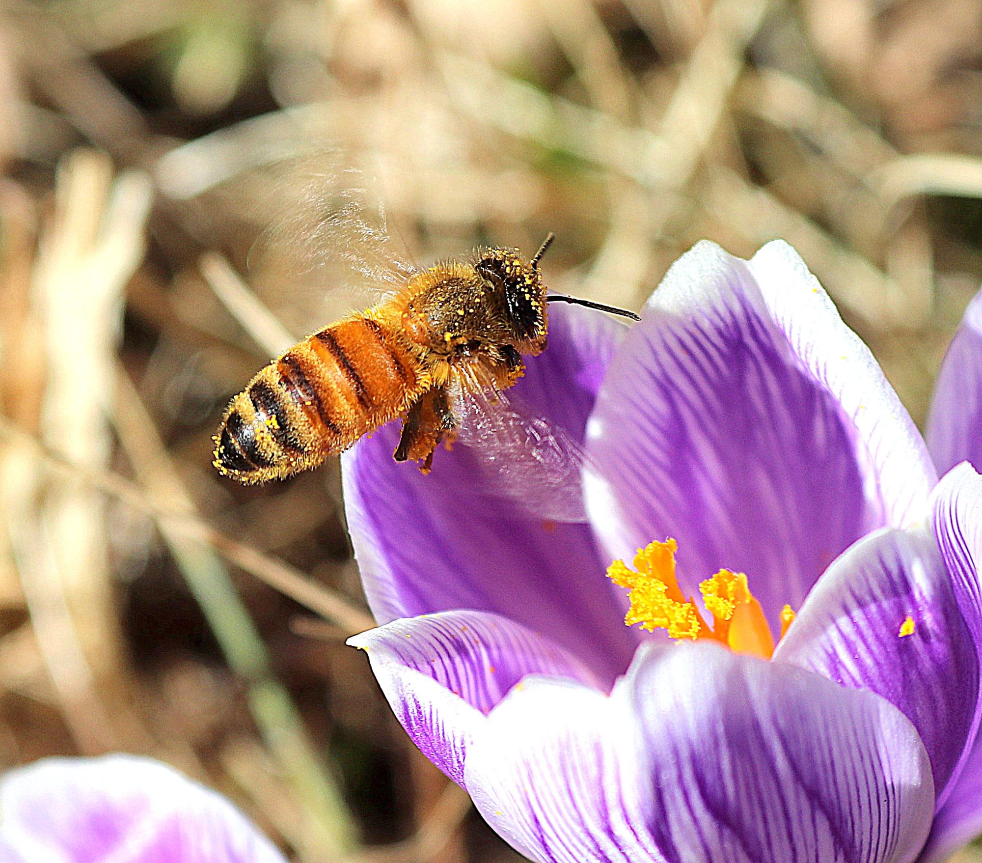 Valokuvaaja: Irja Lehtinen