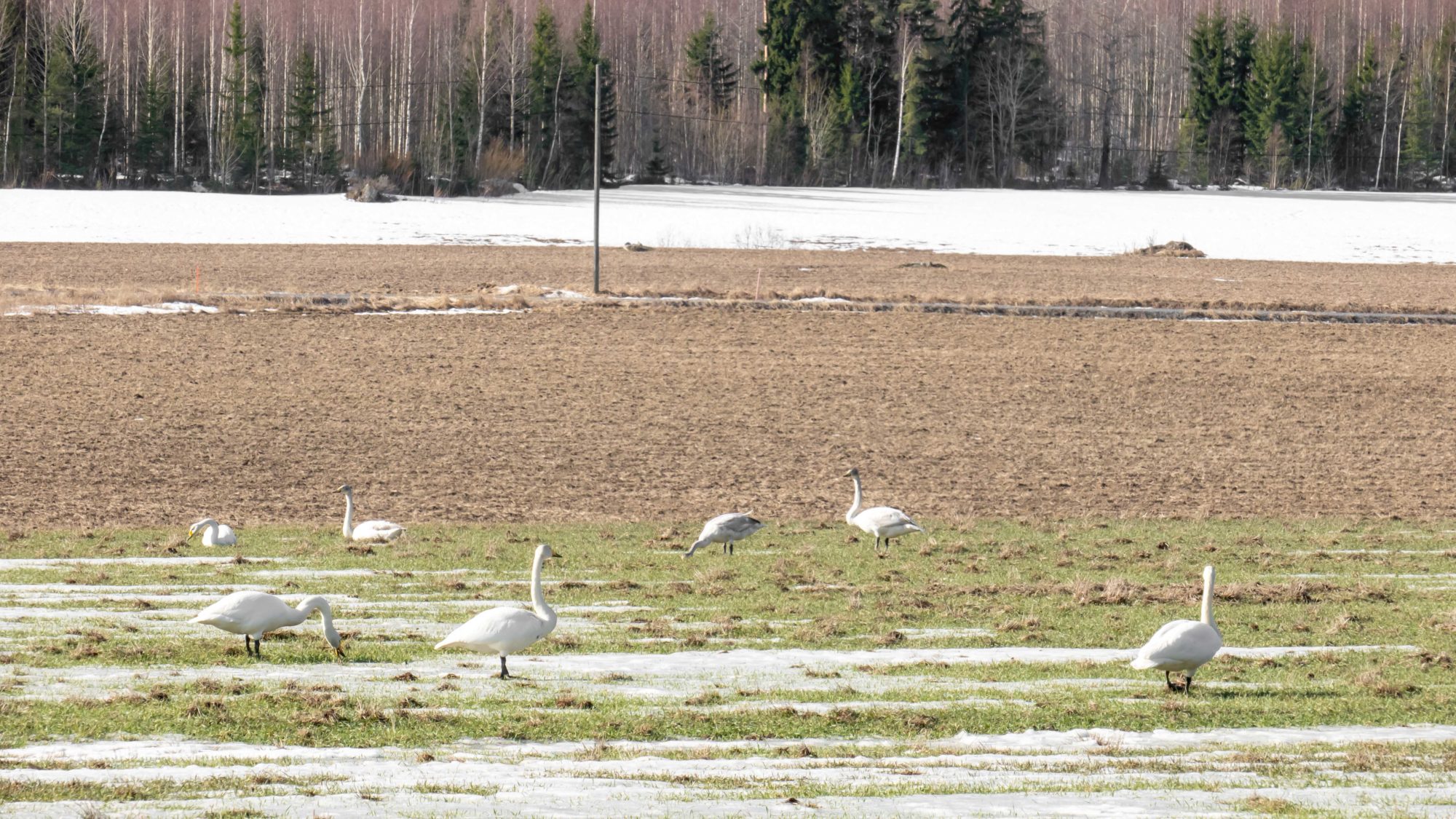 Valokuvaaja: Ari Tapaninen Valokuvaaja: Ari Tapaninen