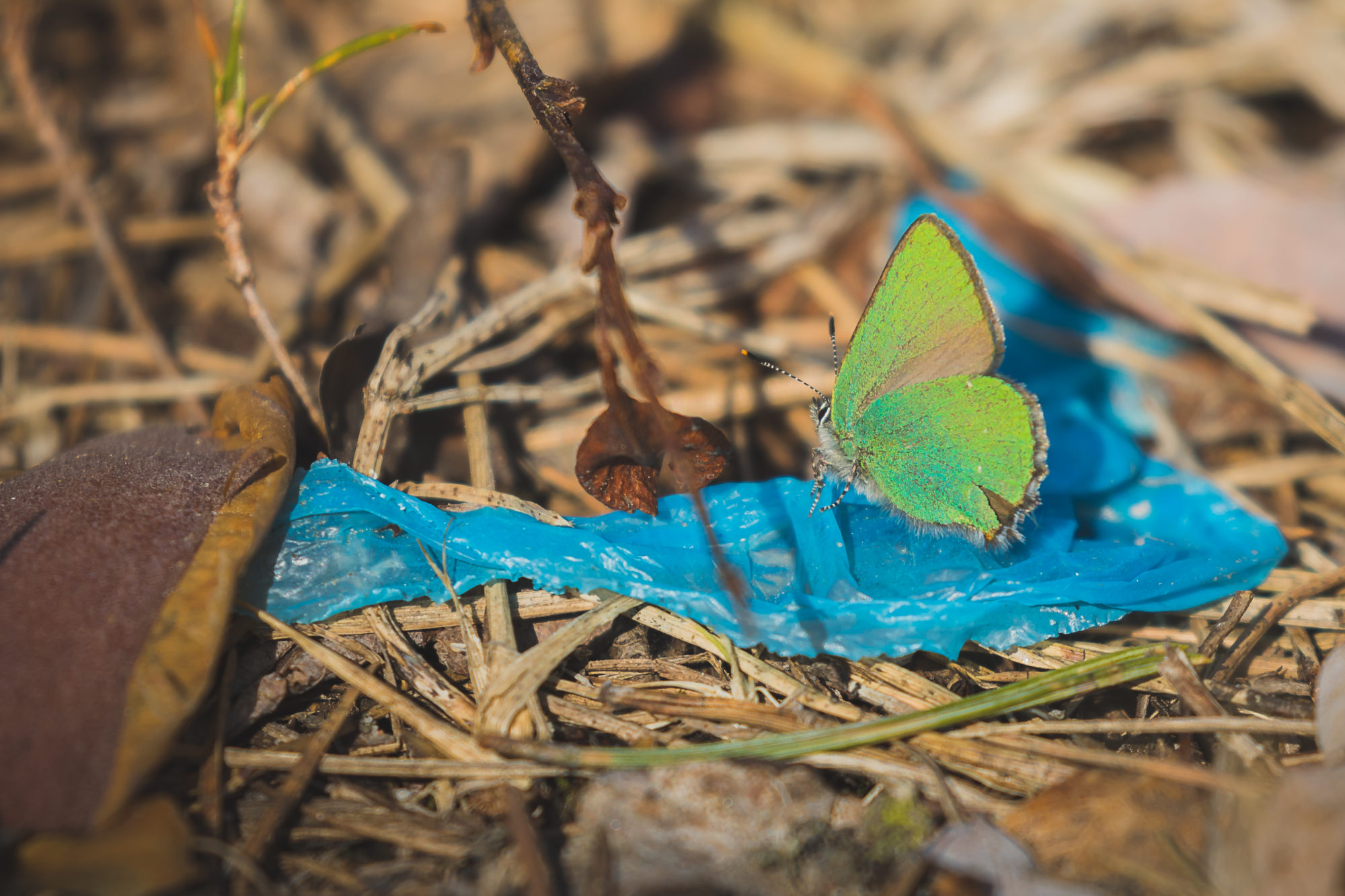 Valokuvaaja: Mikko Kallio