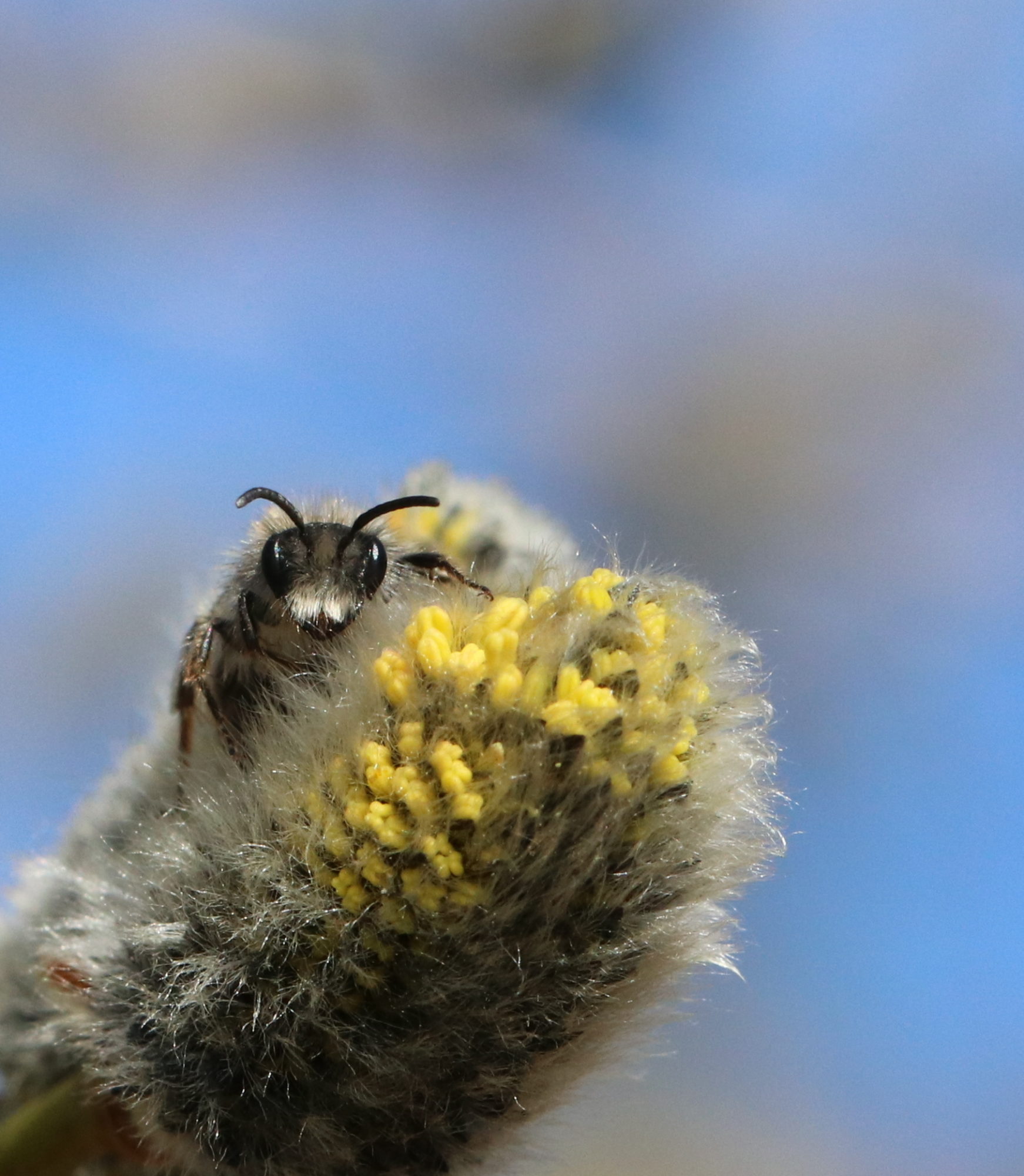 Valokuvaaja: Eija Soimola