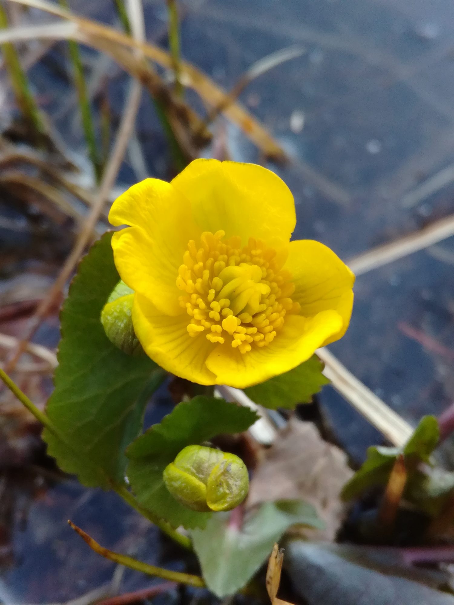 Valokuvaaja: Riitta Marjamäki