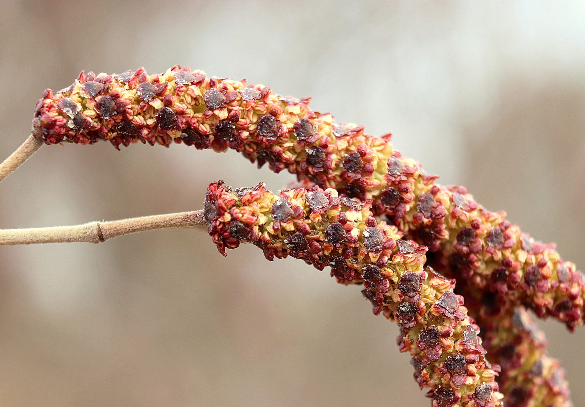Valokuvaaja: Irja Lehtinen