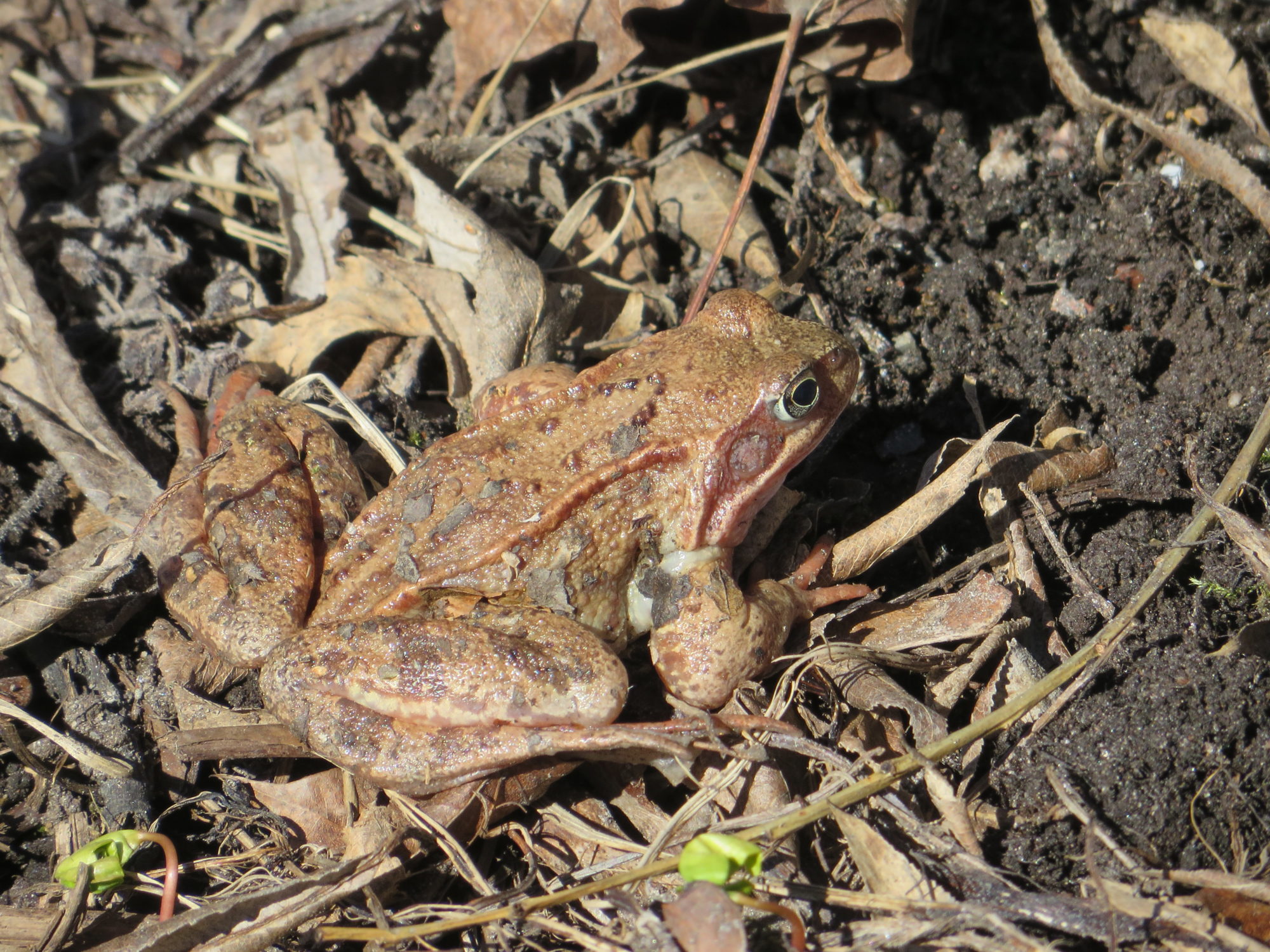 Valokuvaaja: Lissu Kaivolehto
