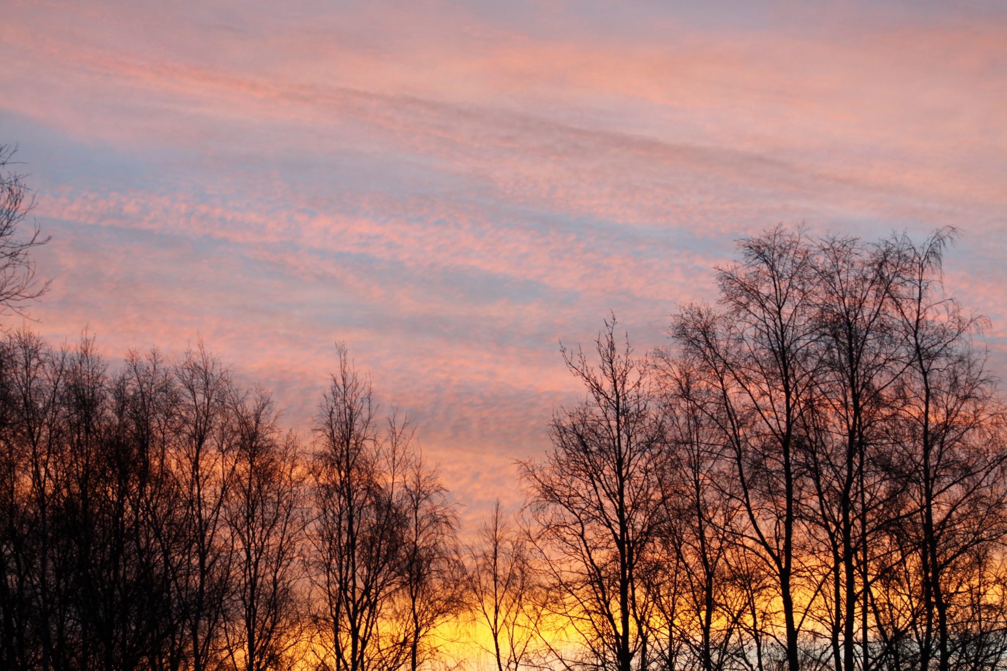 Valokuvaaja: Pirkko Siukonen