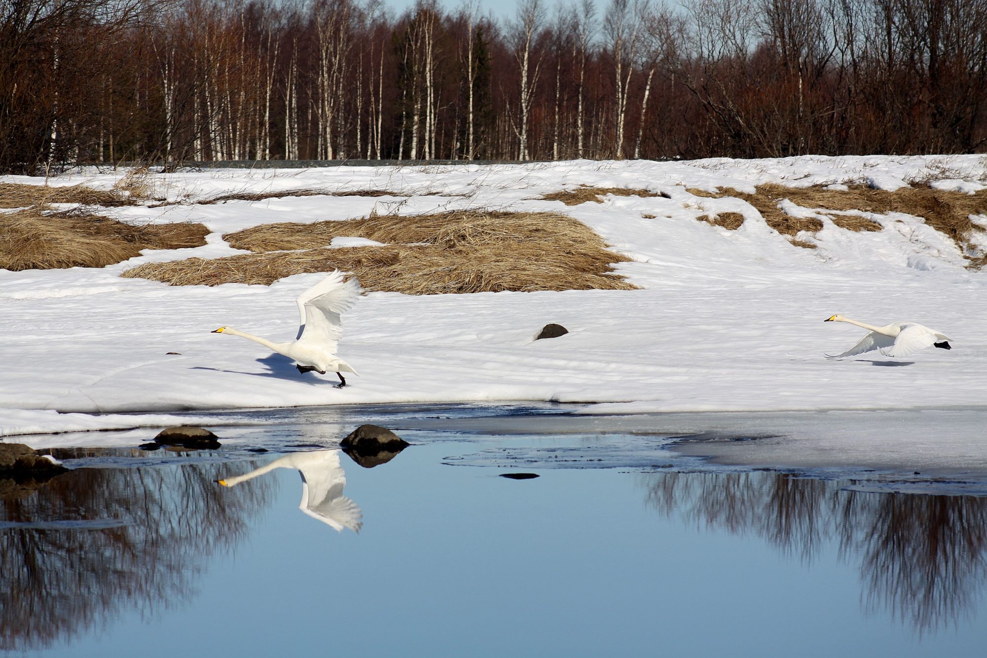 Valokuvaaja: Pirkko Siukonen