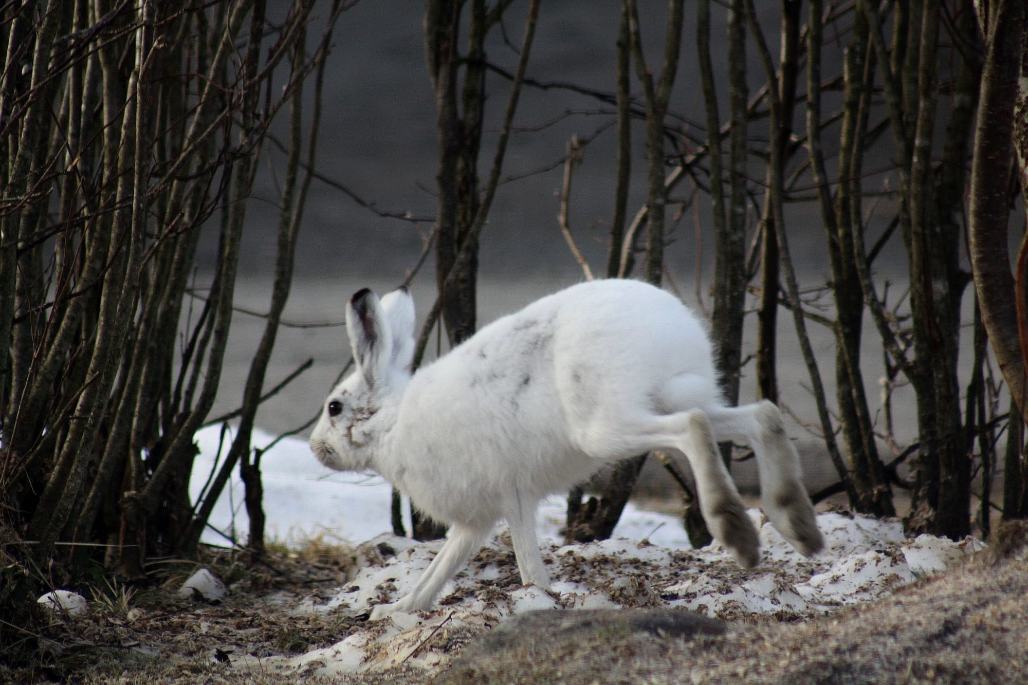 Valokuvaaja: Pirkko Siukonen