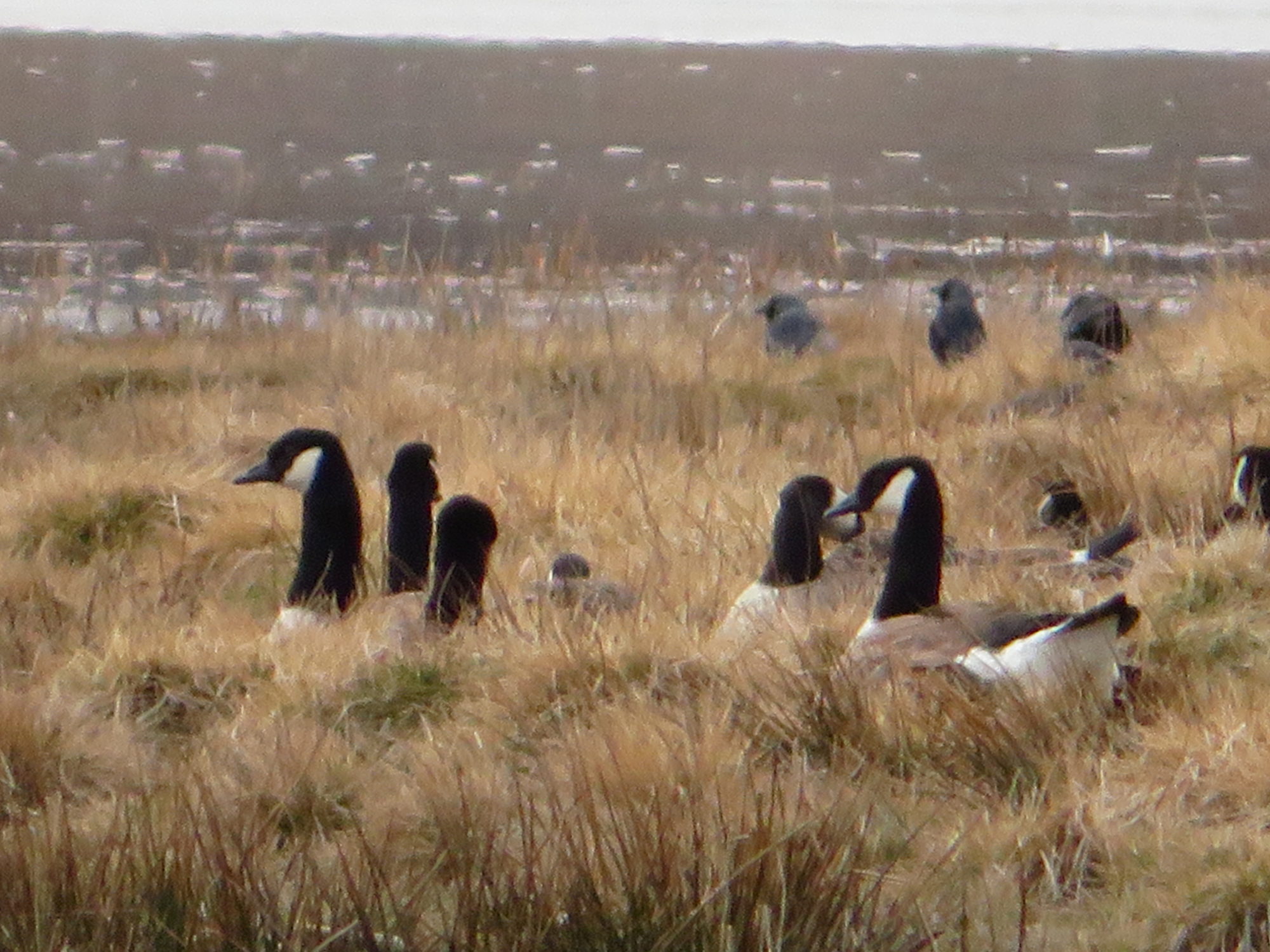 Valokuvaaja: Risto Kangassalo