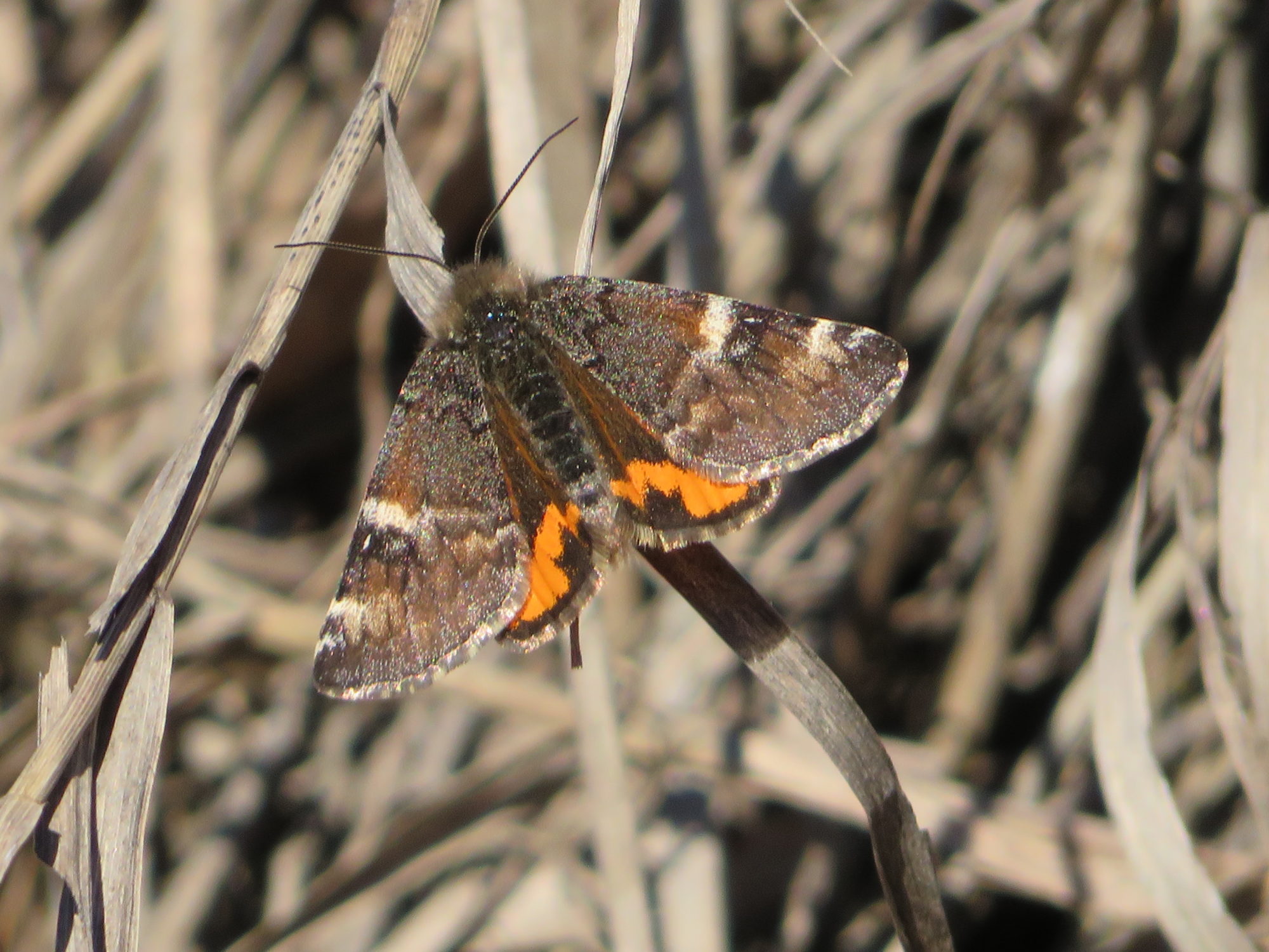 Valokuvaaja: Risto Kangassalo