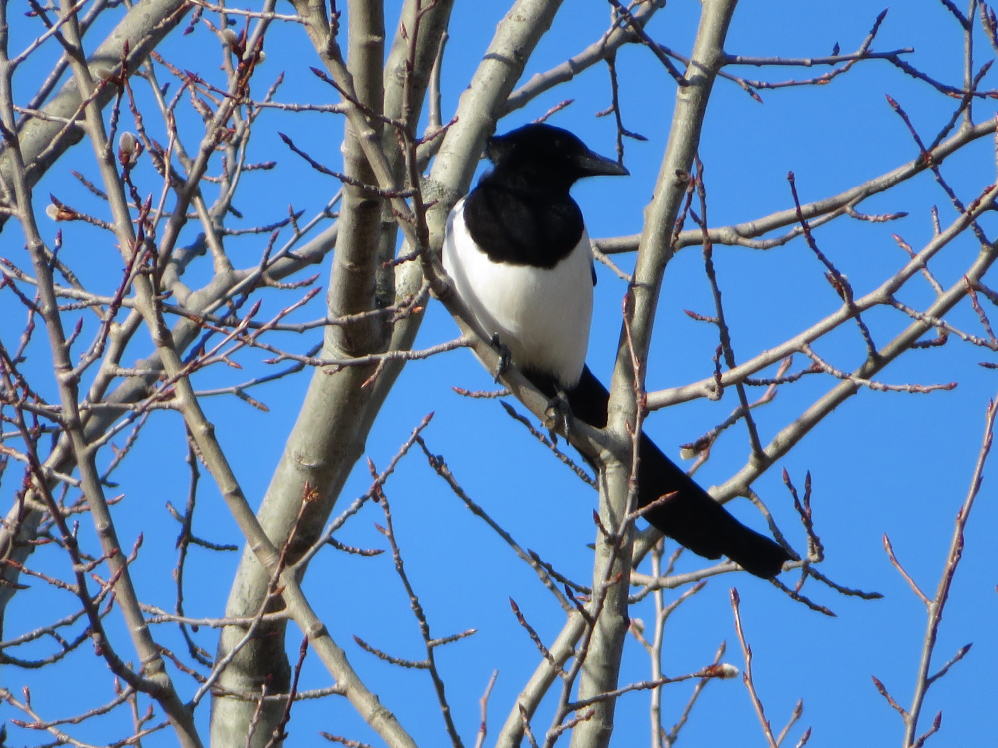 Valokuvaaja: Risto Kangassalo