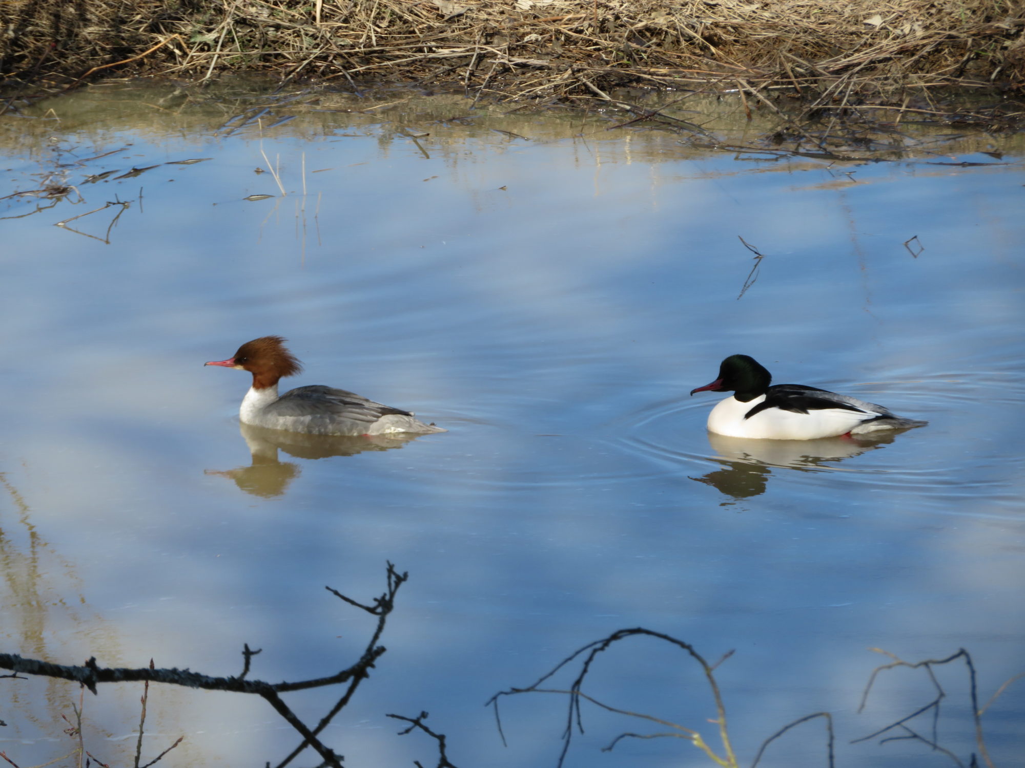 Valokuvaaja: Risto Kangassalo