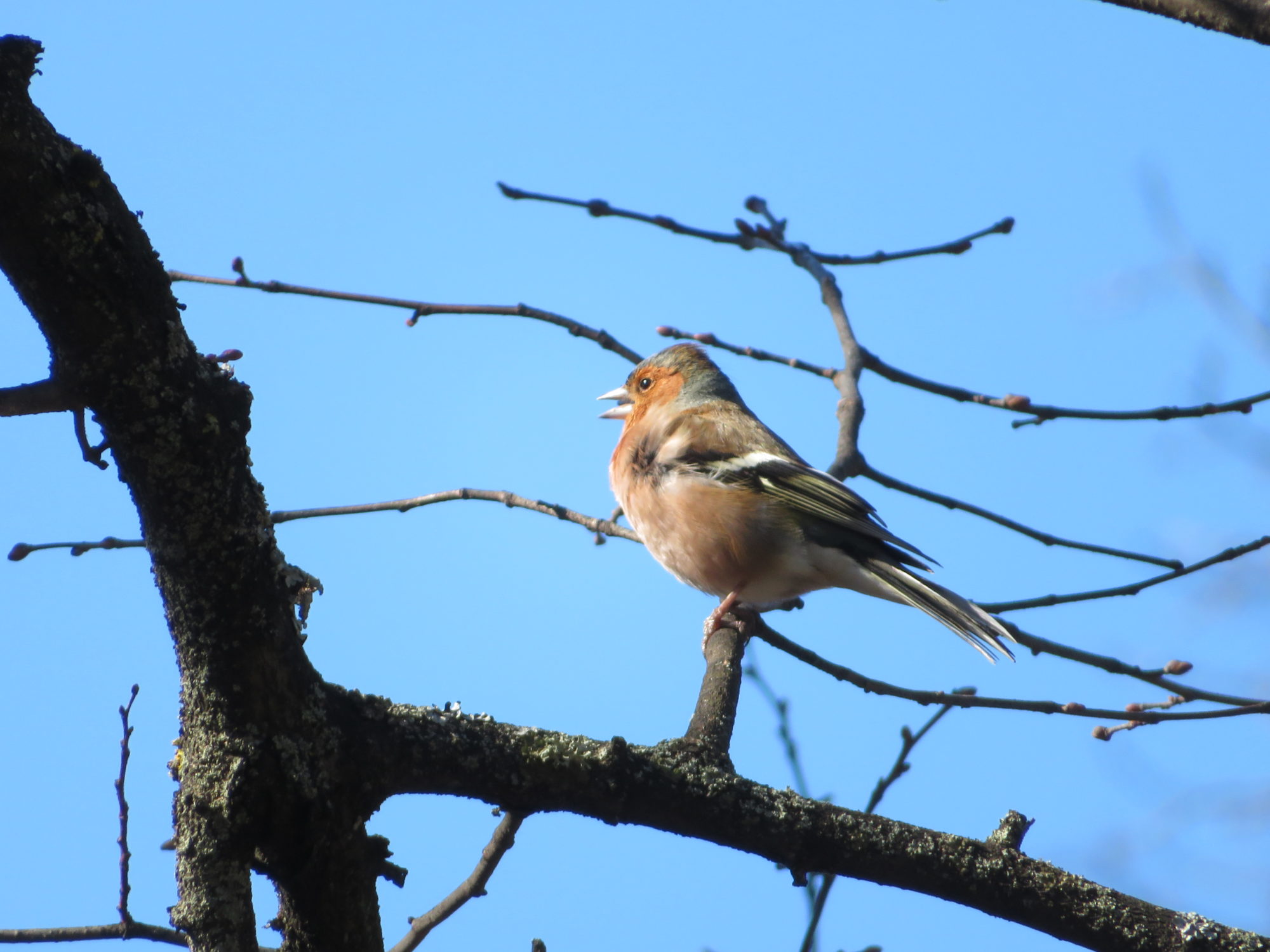 Valokuvaaja: Risto Kangassalo