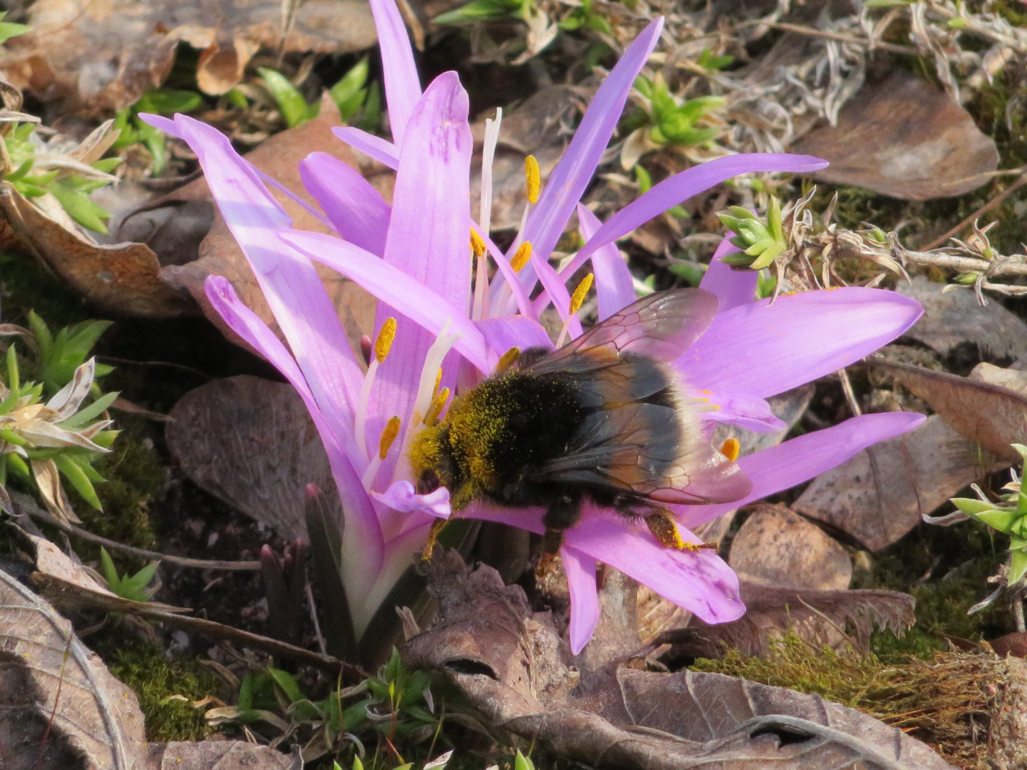Valokuvaaja: Risto Kangassalo Valokuvaaja: Risto Kangassalo