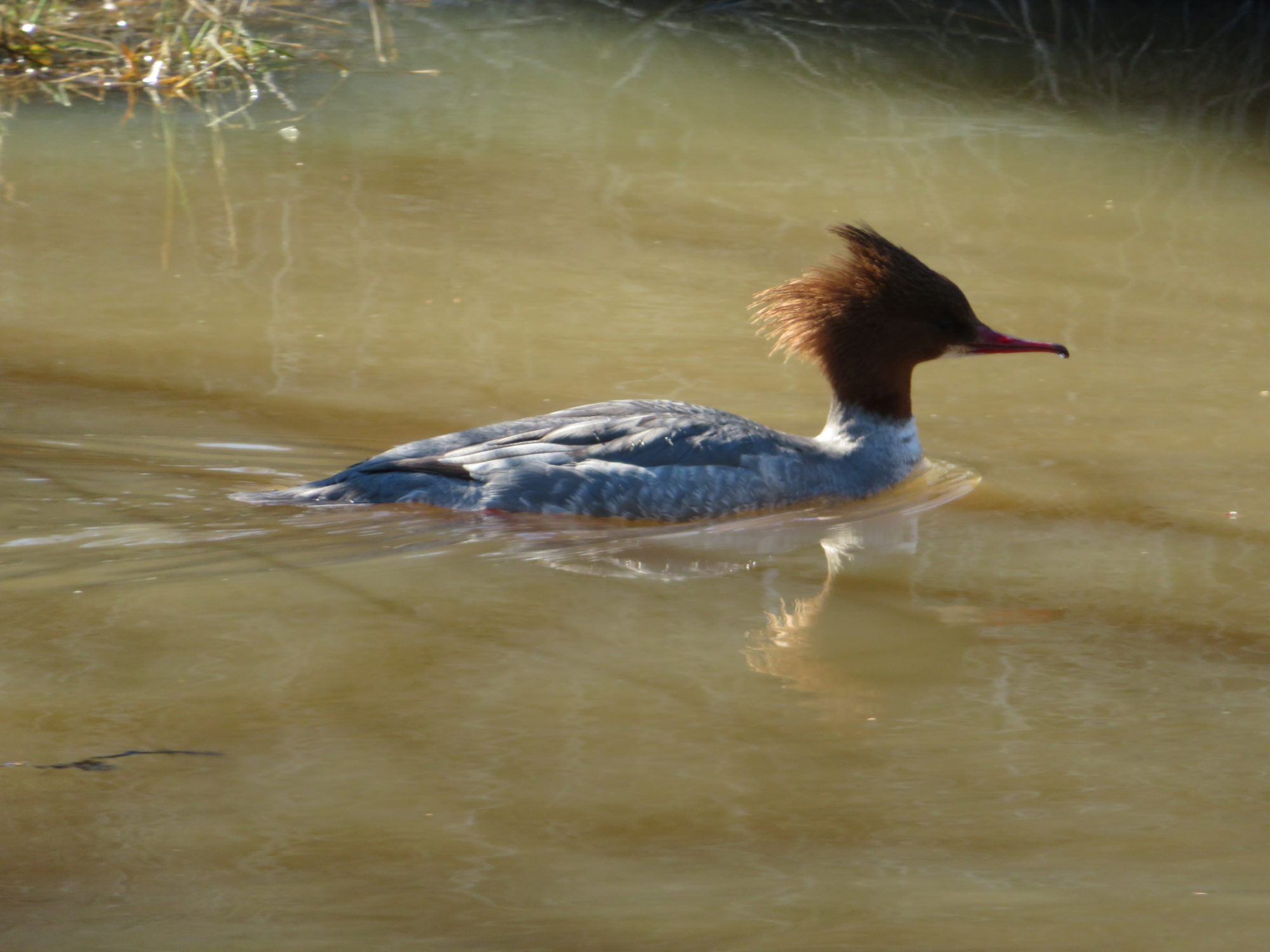 Valokuvaaja: Risto Kangassalo