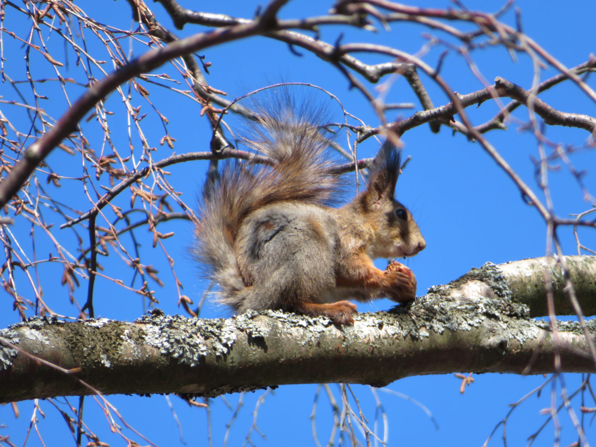 Valokuvaaja: Risto Kangassalo