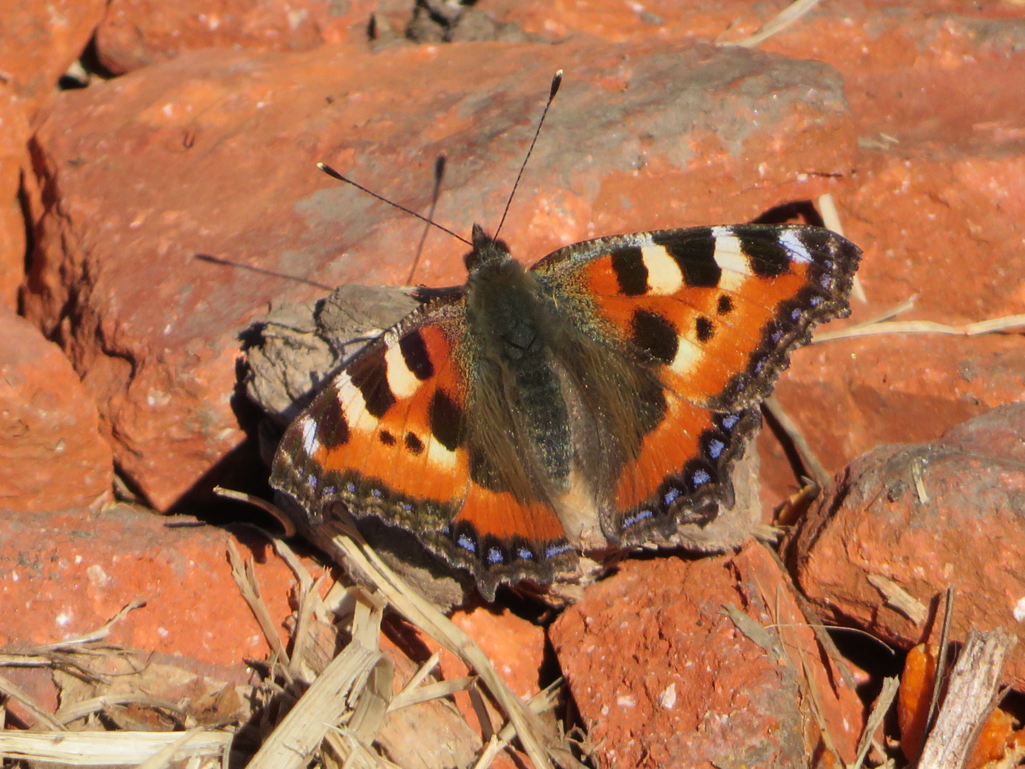 Valokuvaaja: Risto Kangassalo