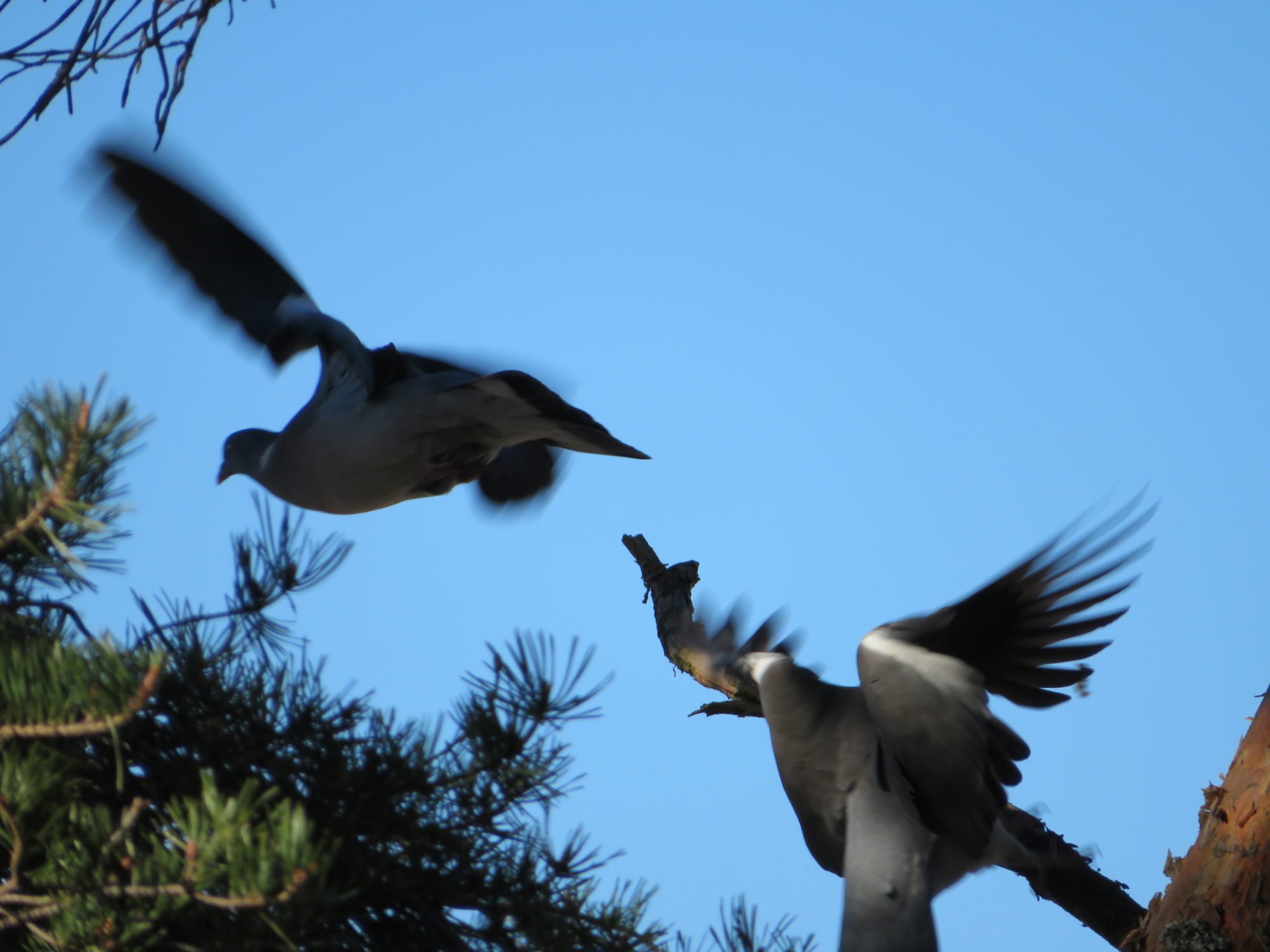 Valokuvaaja: Risto Kangassalo