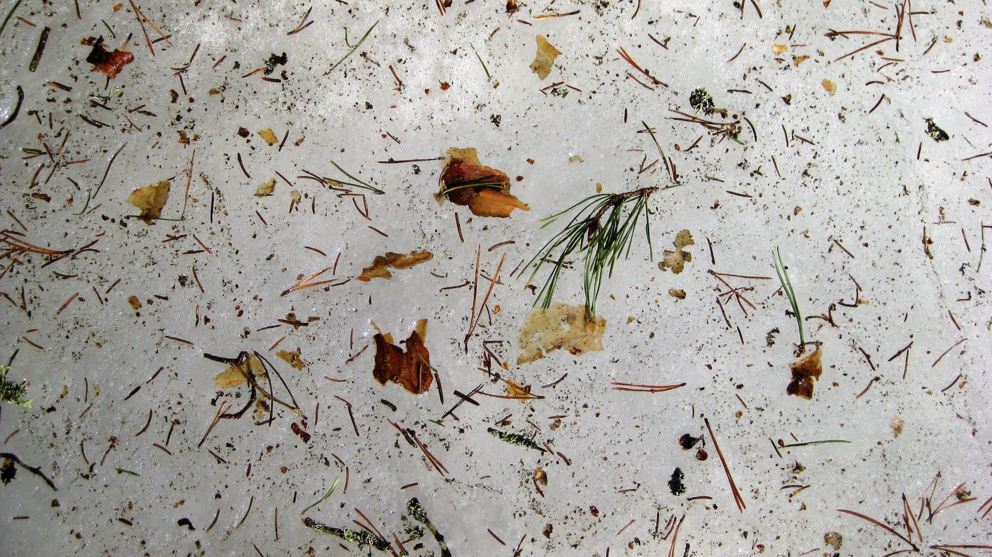 Valokuvaaja: Arja Valtonen