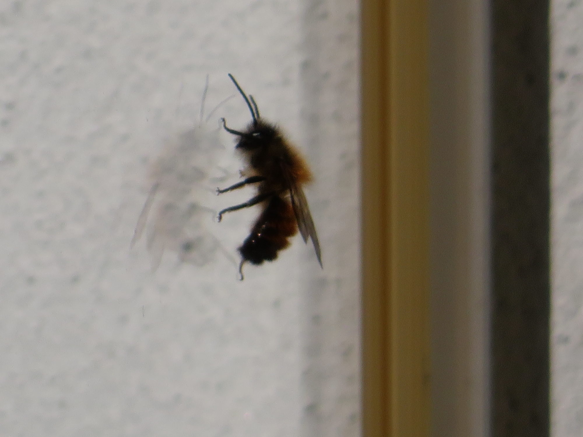 Valokuvaaja: Risto Kangassalo