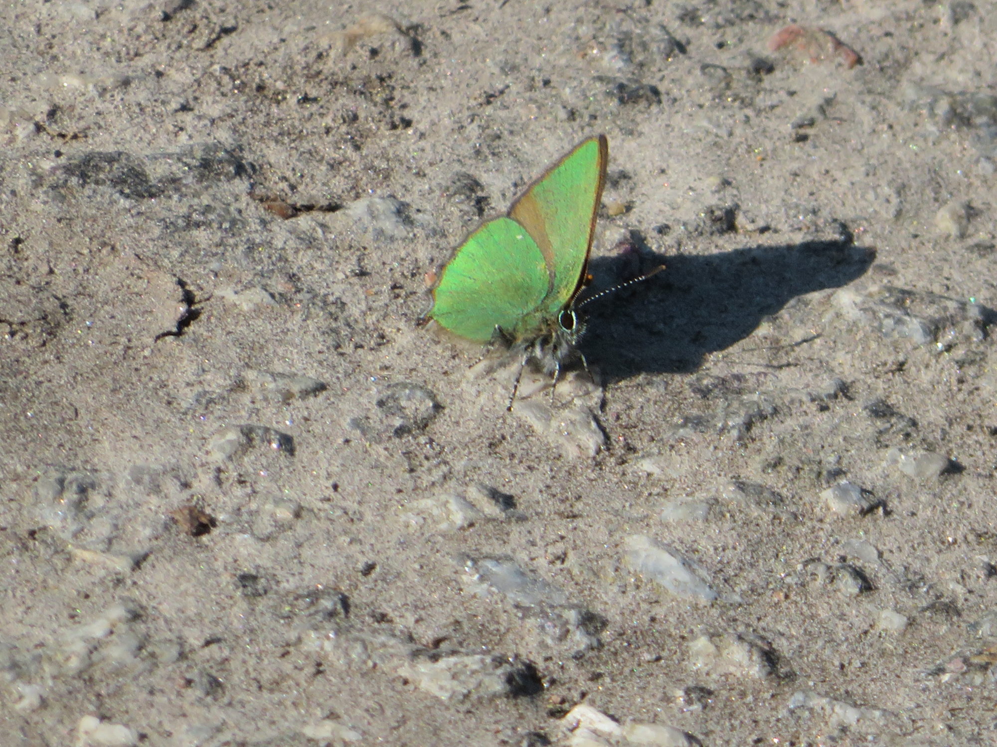 Valokuvaaja: Risto Kangassalo