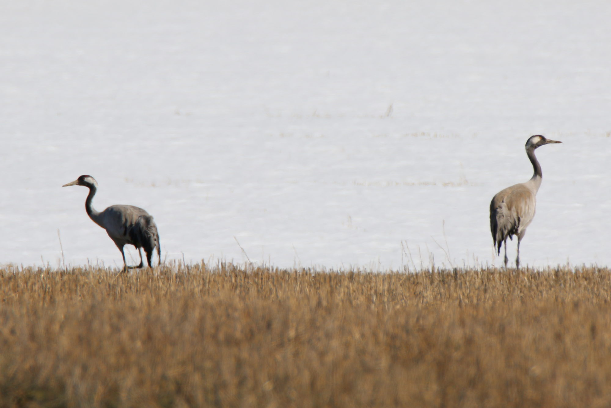 Valokuvaaja: Ahti Keränen