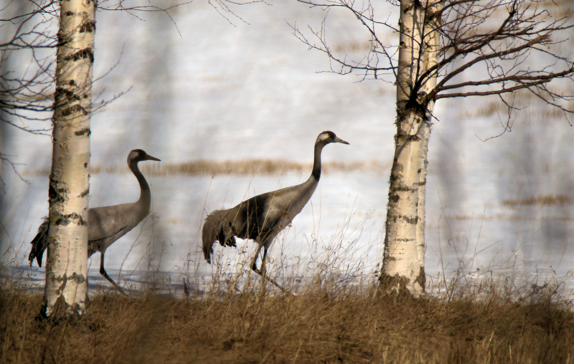 Valokuvaaja: Ahti Keränen