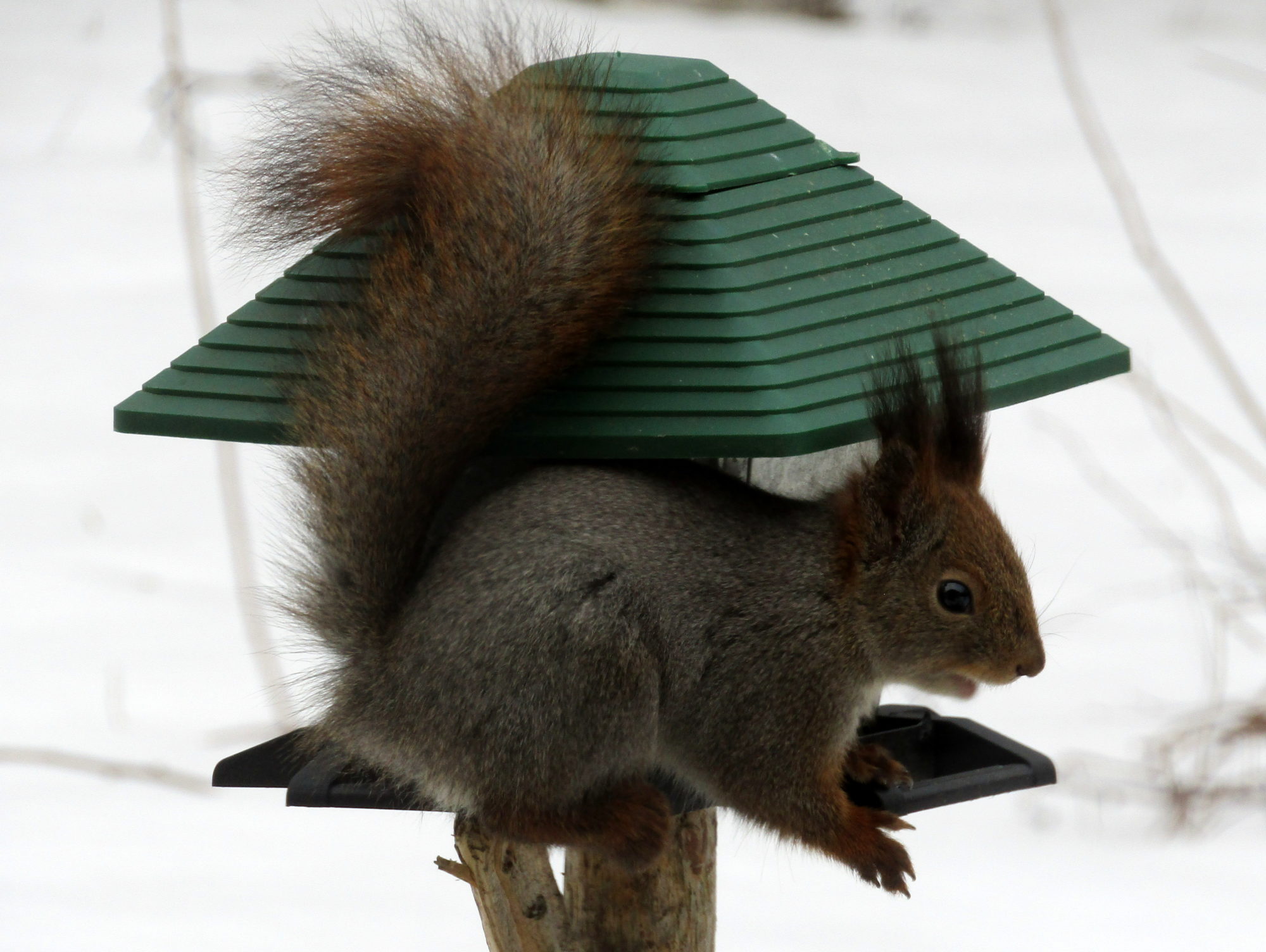 Valokuvaaja: Sirkka Ruotoistenmäki