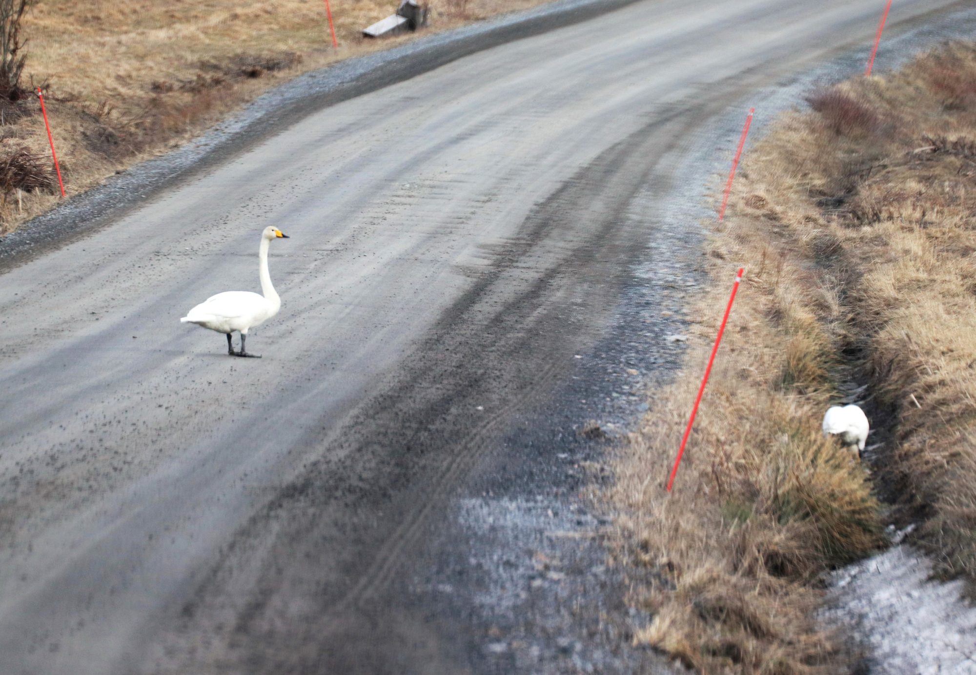 Valokuvaaja: Irja Lehtinen