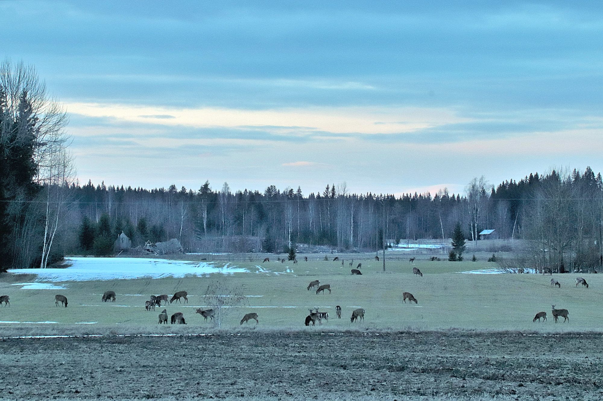 Valokuvaaja: Irja Lehtinen