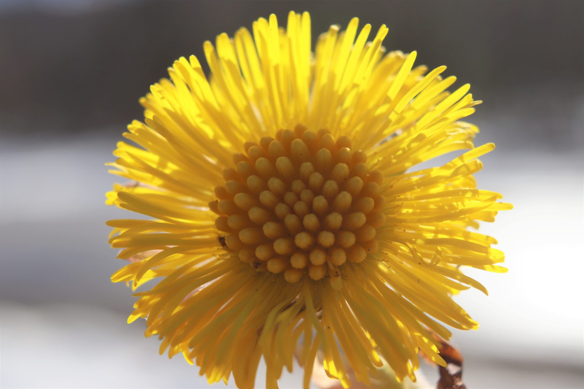 Valokuvaaja: Irja Lehtinen