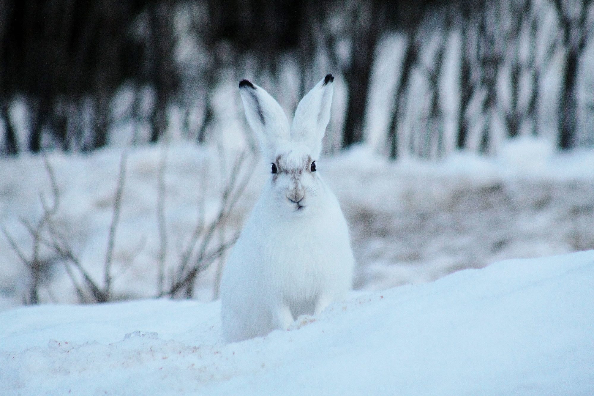 Valokuvaaja: Pirkko Siukonen