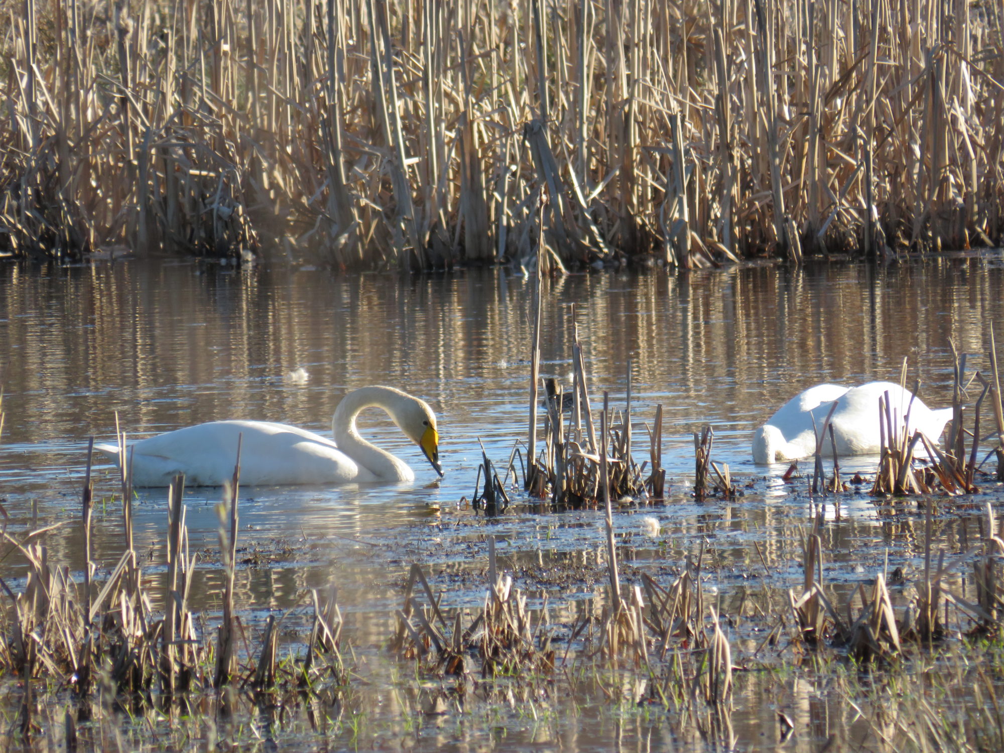 Valokuvaaja: Jukka Rönkä