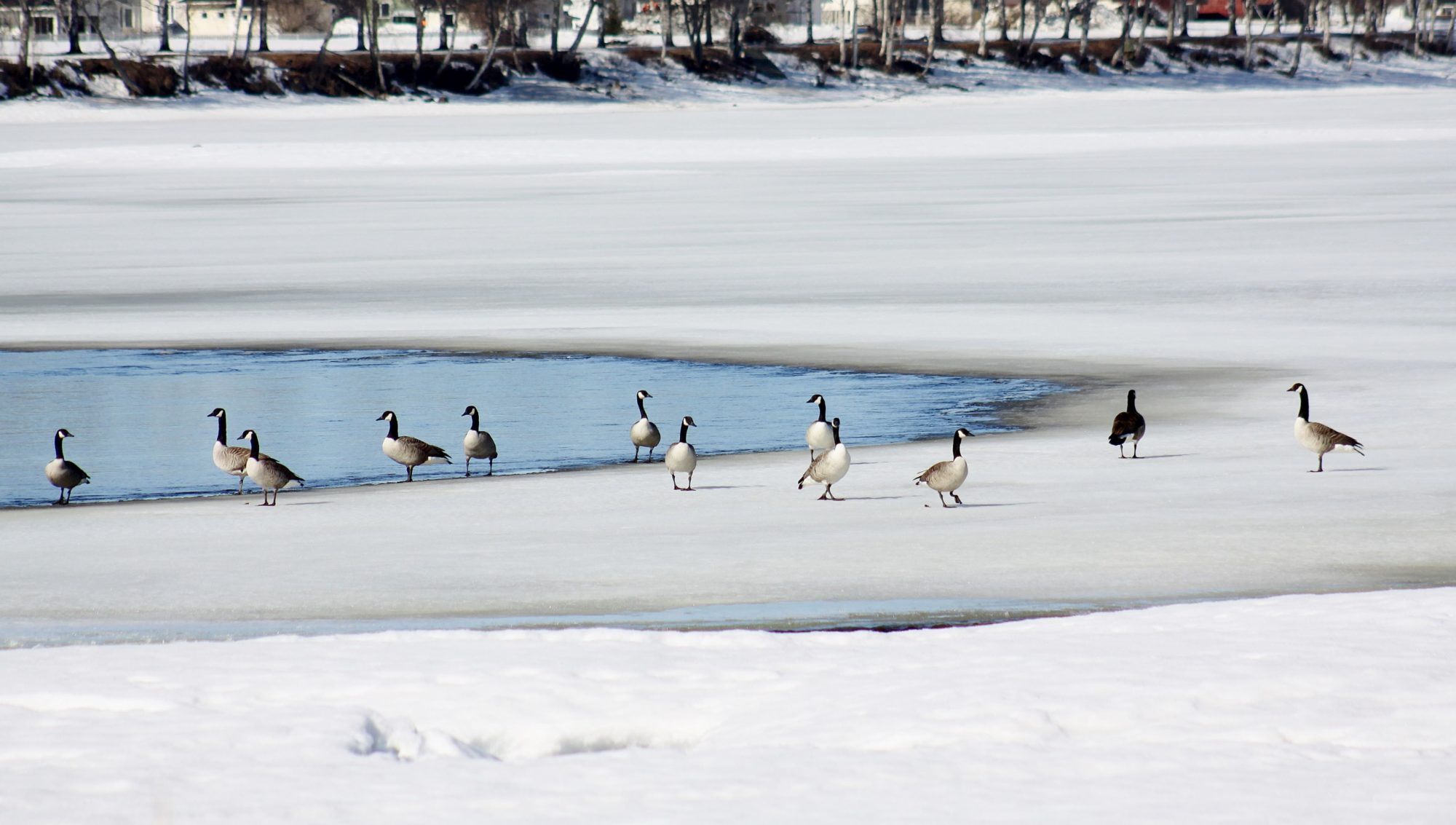 Valokuvaaja: Pirkko Siukonen