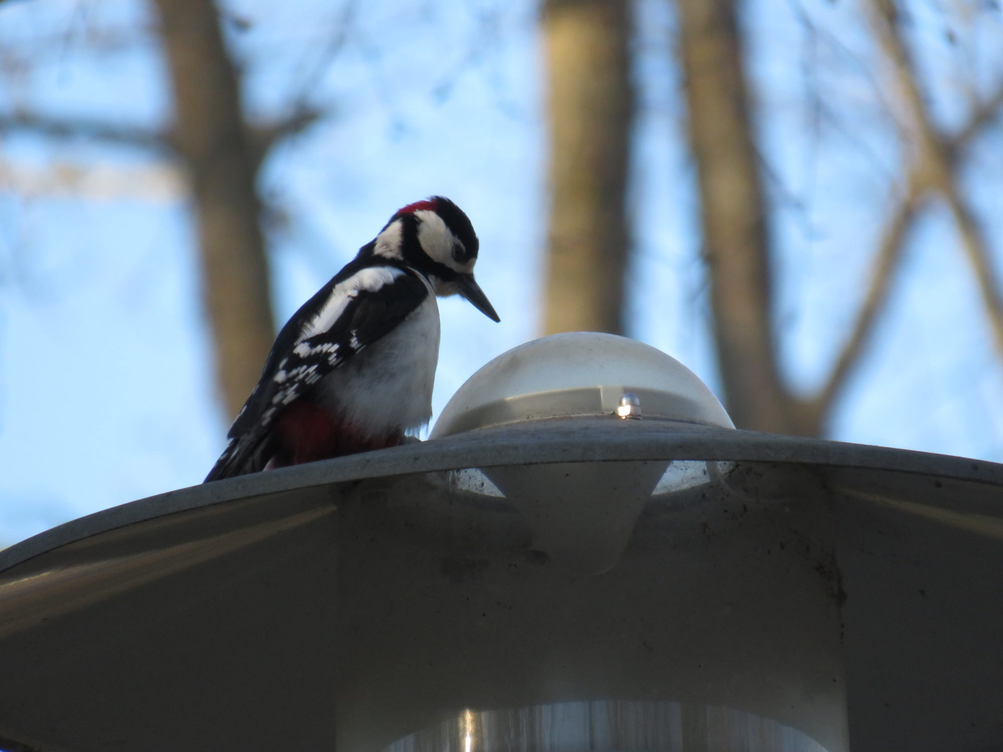 Valokuvaaja: Jukka Rönkä