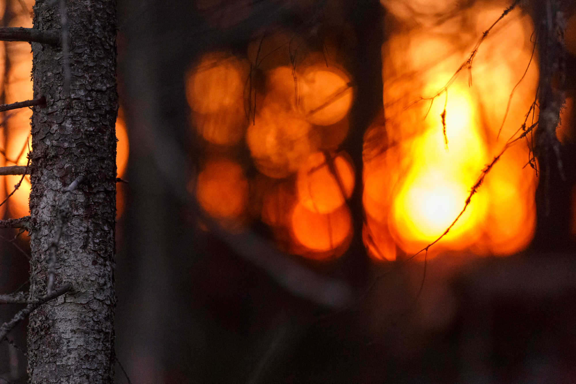 Valokuvaaja: Antti Toivanen Valokuvaaja: Antti Toivanen