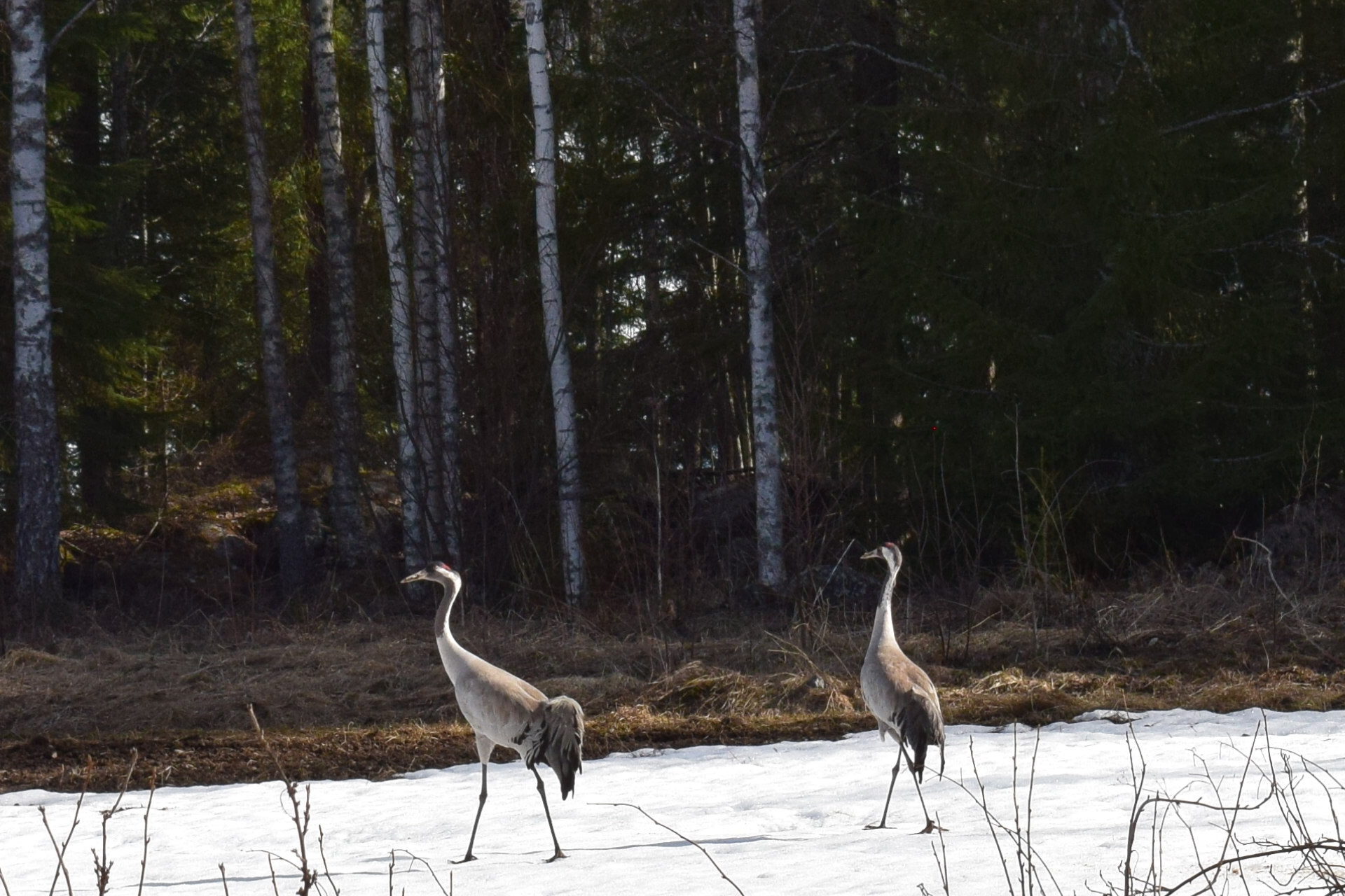 Valokuvaaja: Eila Ylönen
