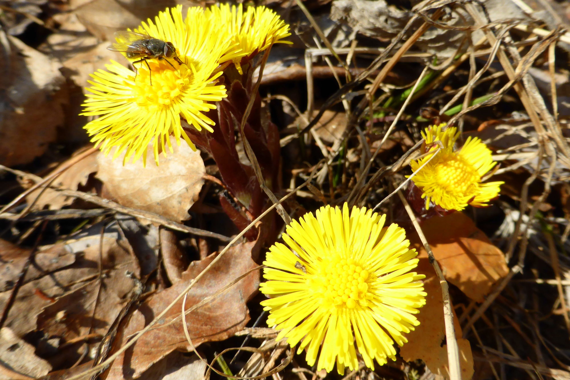 Valokuvaaja: Kaarlo Asikainen