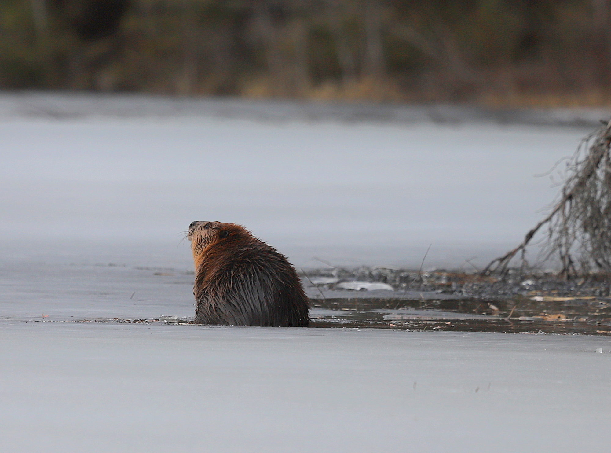 Valokuvaaja: sirpa jyske