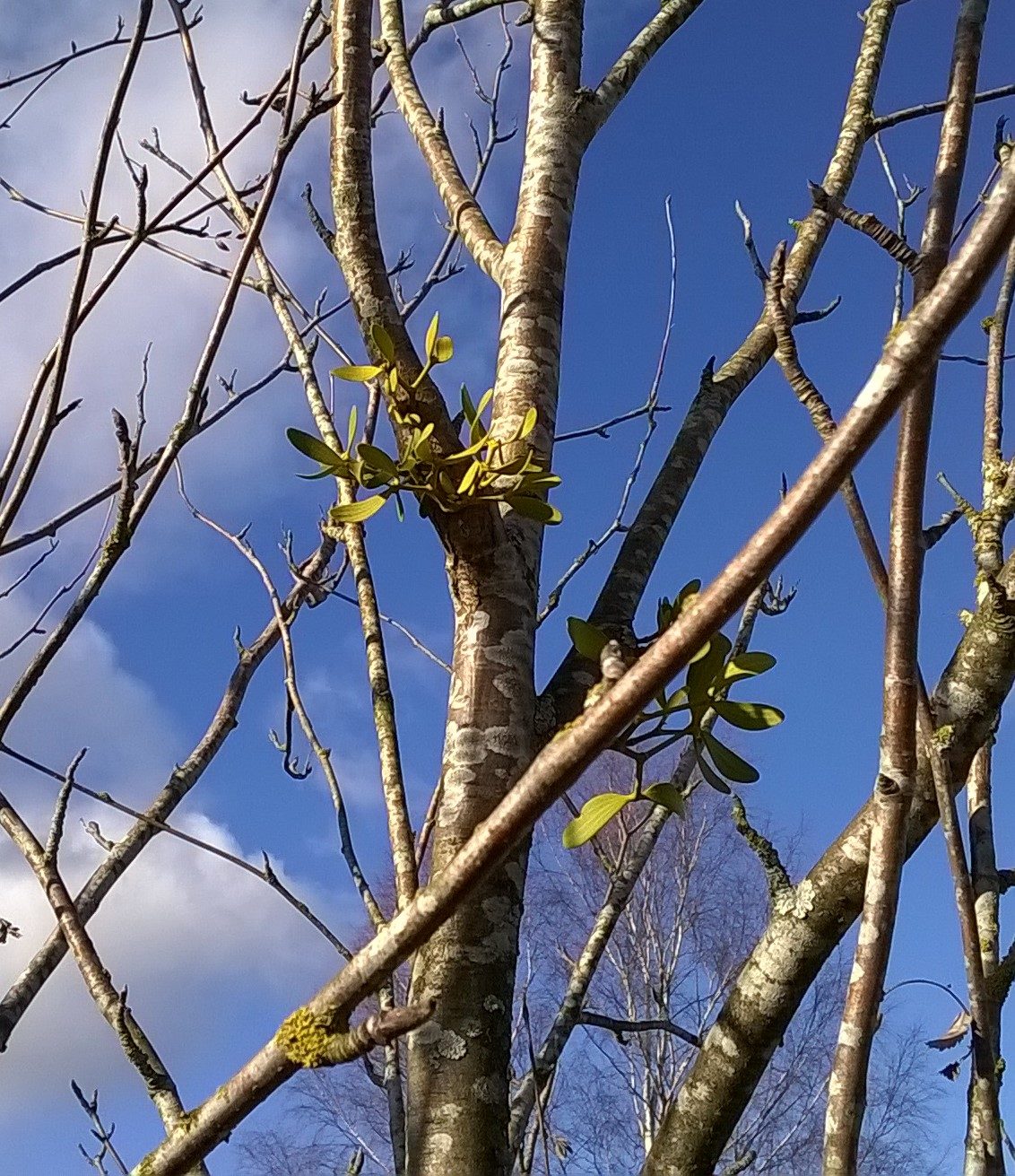 Valokuvaaja: Juha Karjalainen