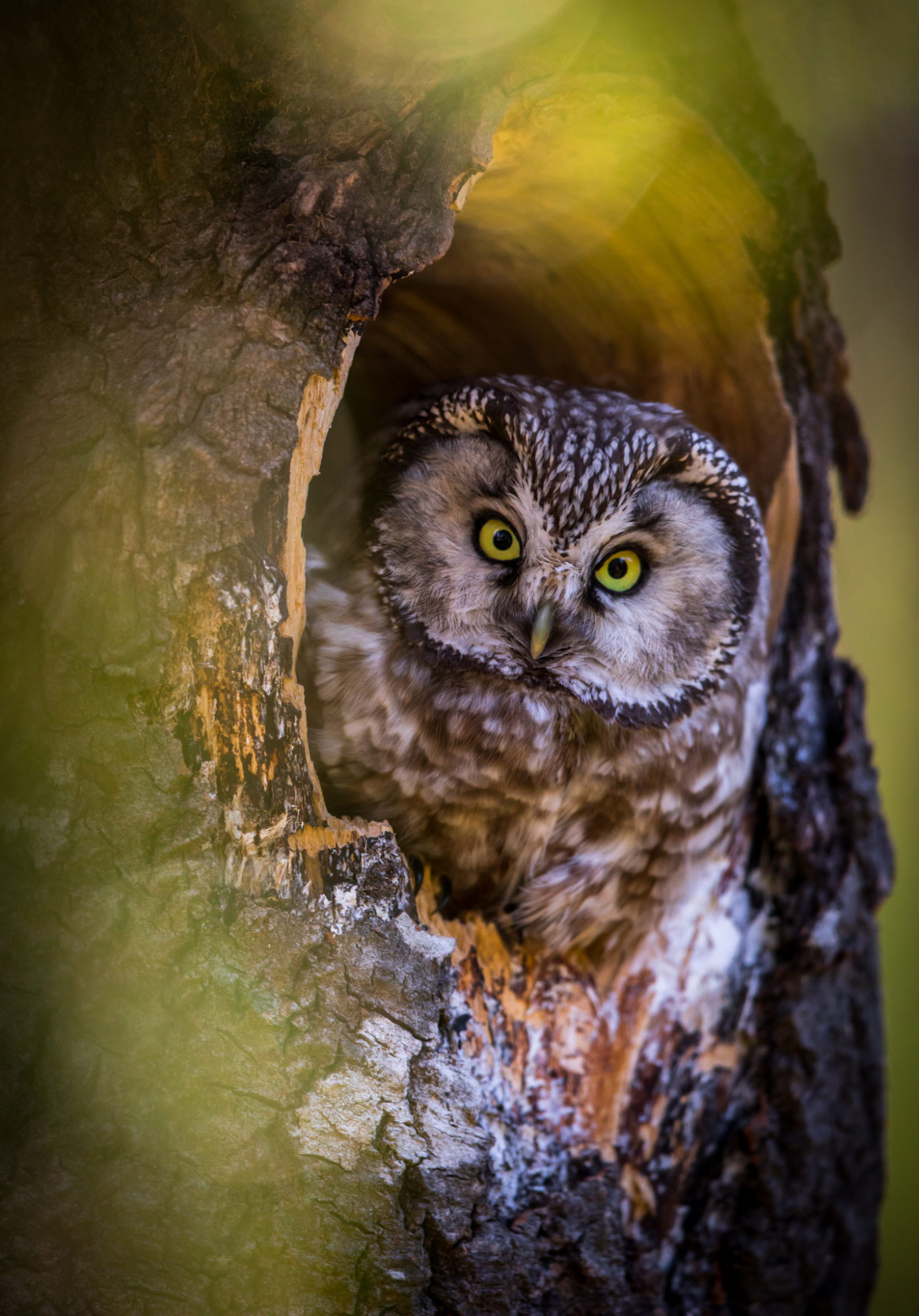 Valokuvaaja: Jukka Risikko