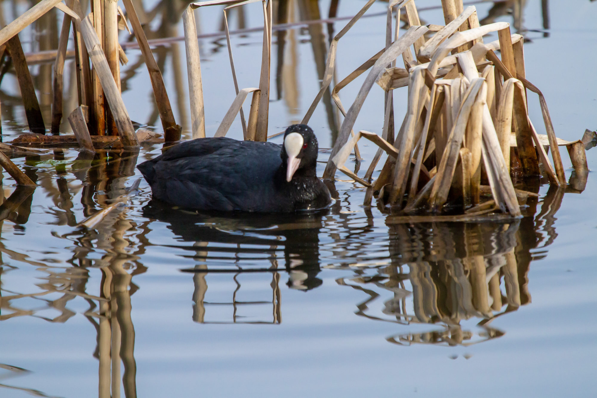 Valokuvaaja: Heikki Heinonen